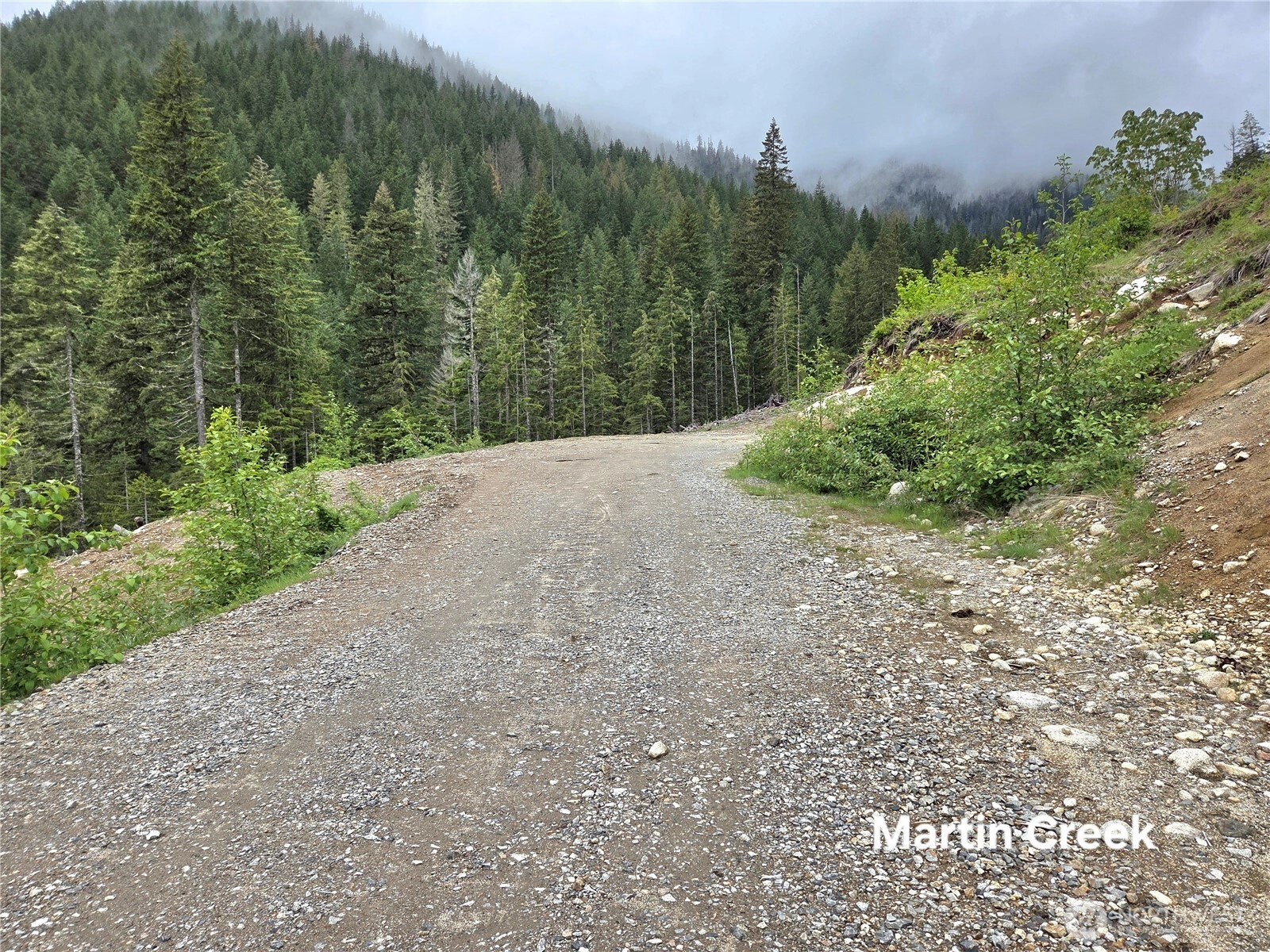 6710 Martin Creek Skykomish WA 98288