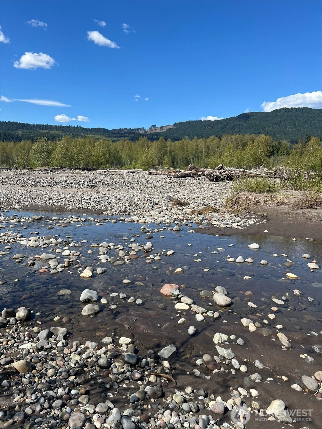 Rainier Vista Dr Mineral WA 98356
