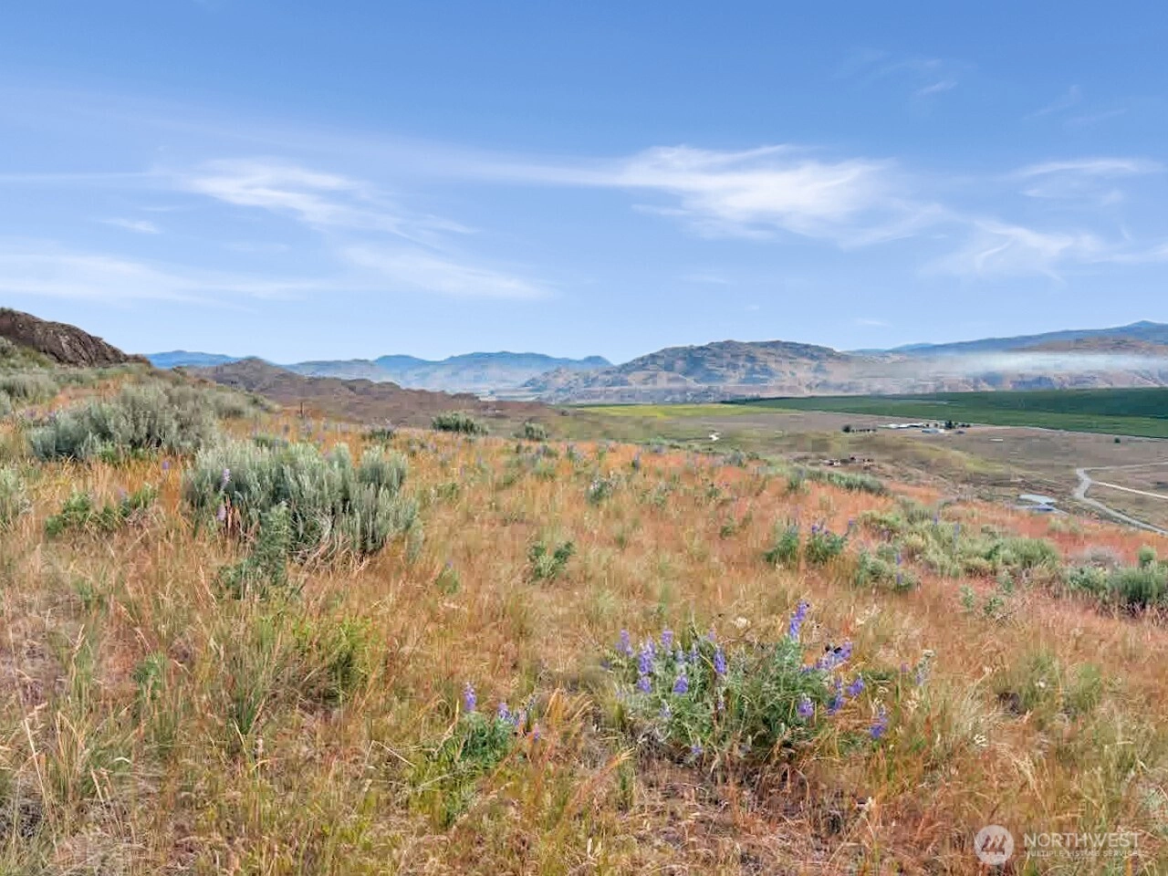 Andalusian Lot 4 Brewster WA 98812