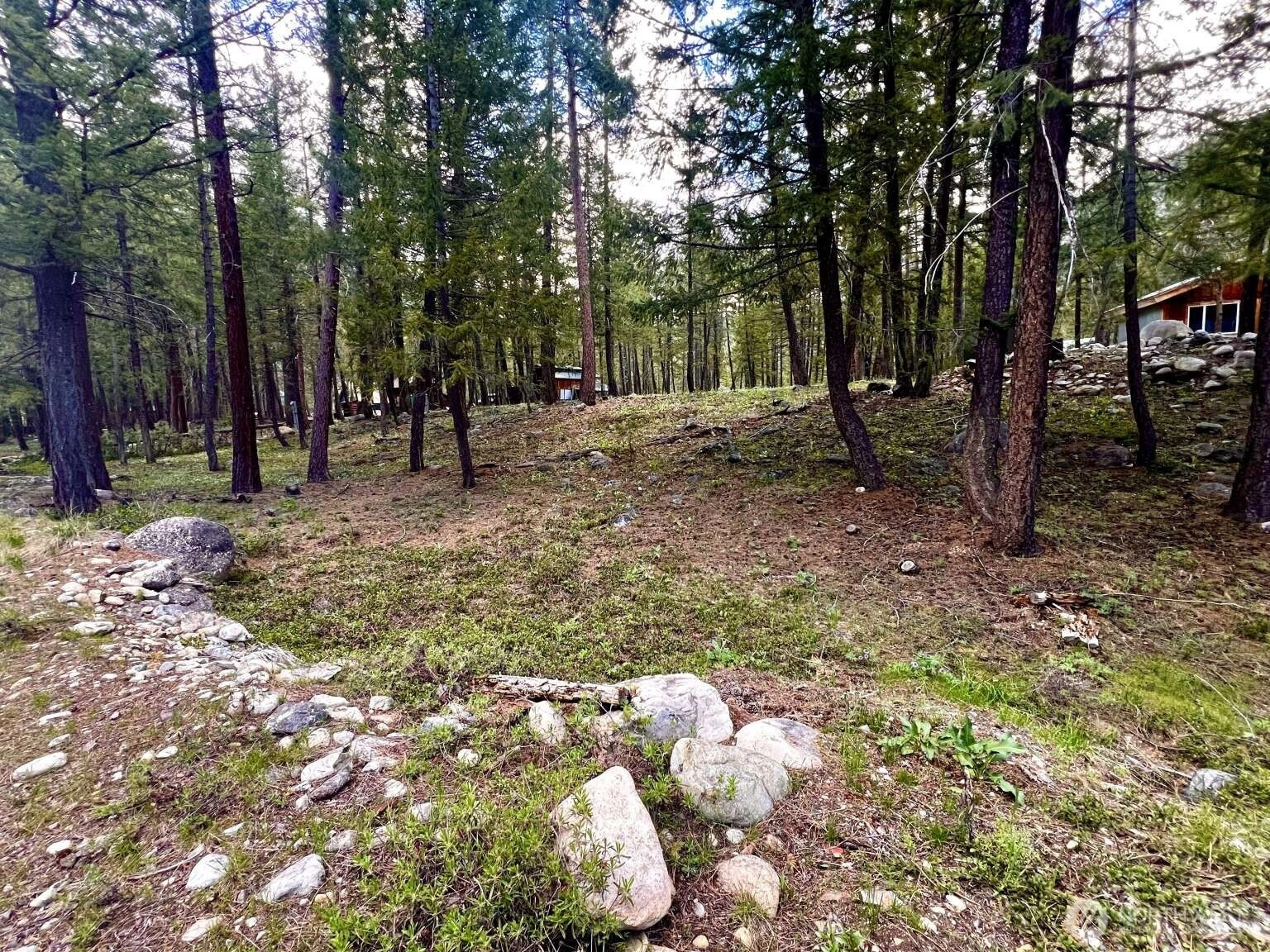 35 Emerson Rd Mazama WA 98833