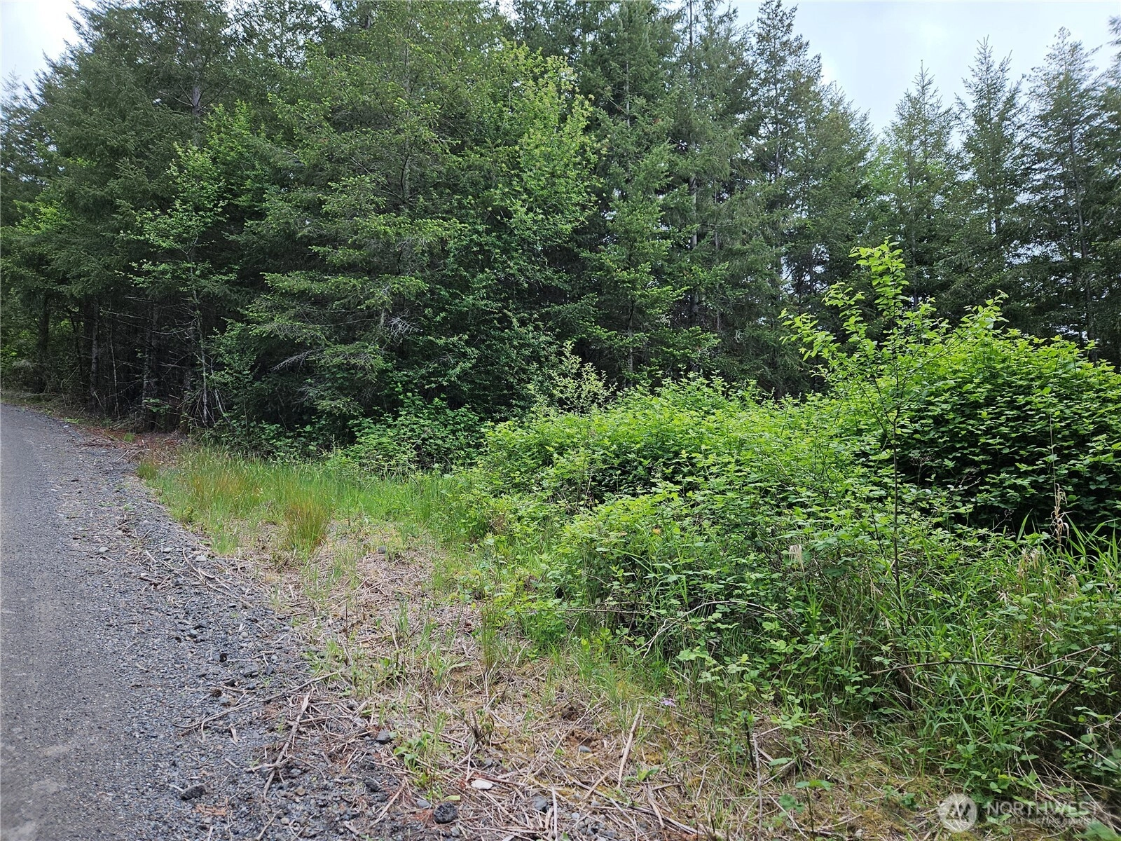 2 Myrtle View Ln Chehalis WA 98532