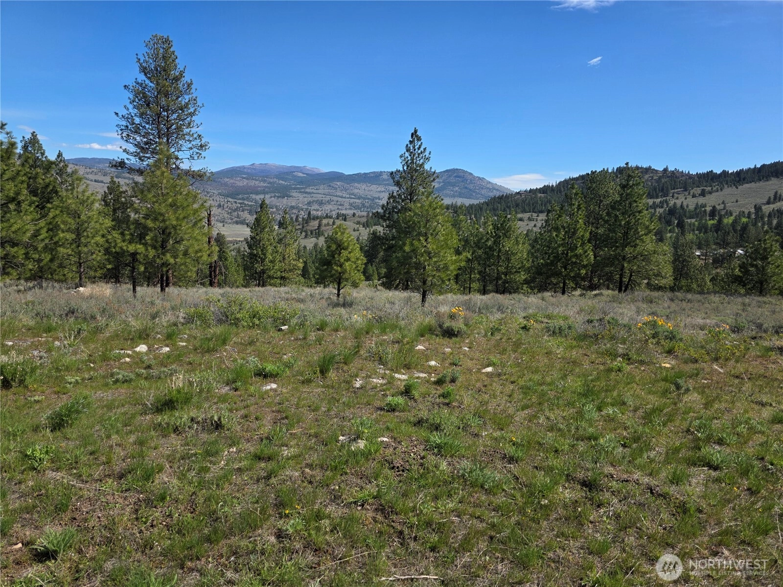 144 Reevas Basin Rd Tonasket WA 98855