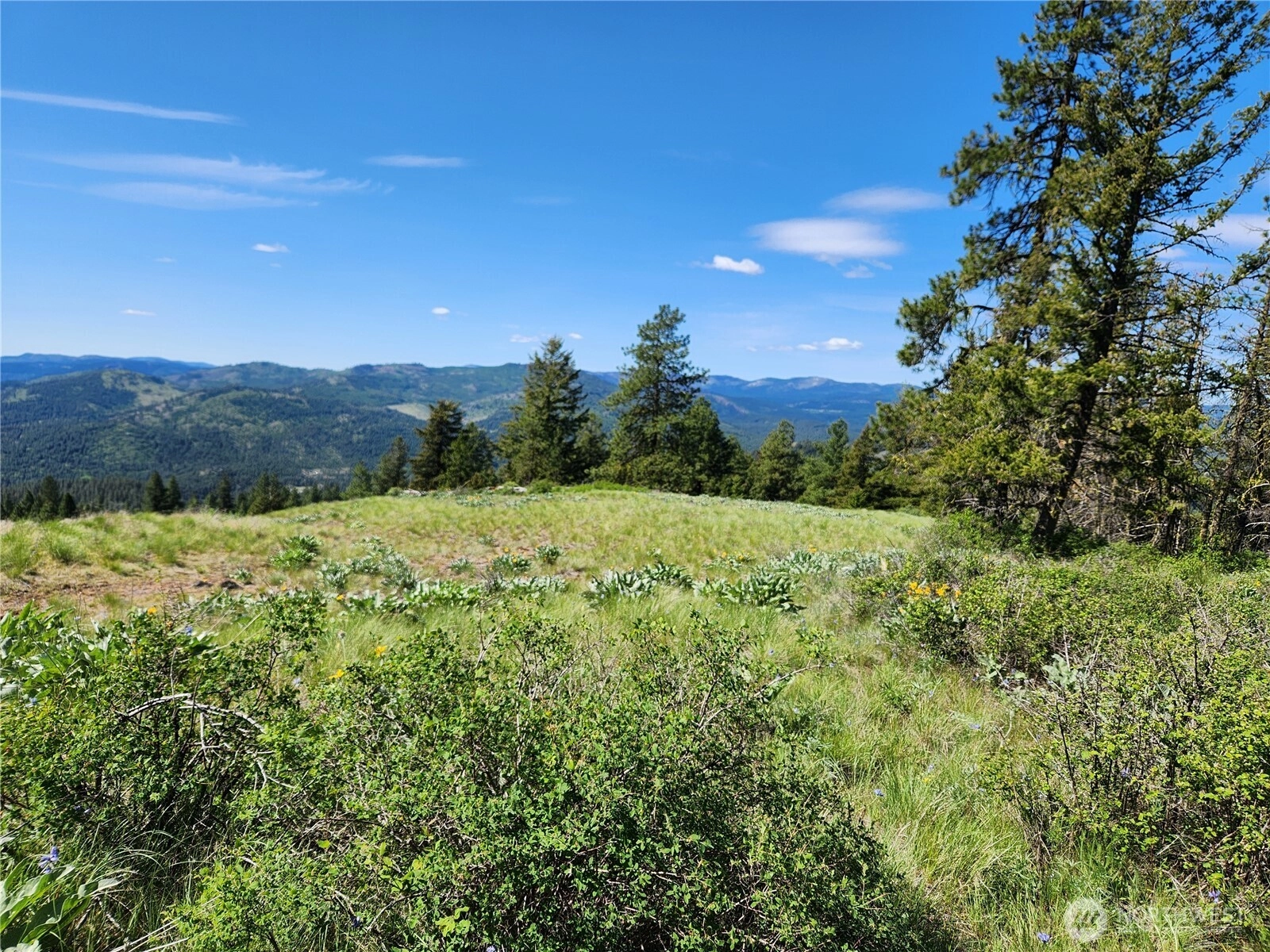 E Knob Hill Rd Unit  Republic WA 99166