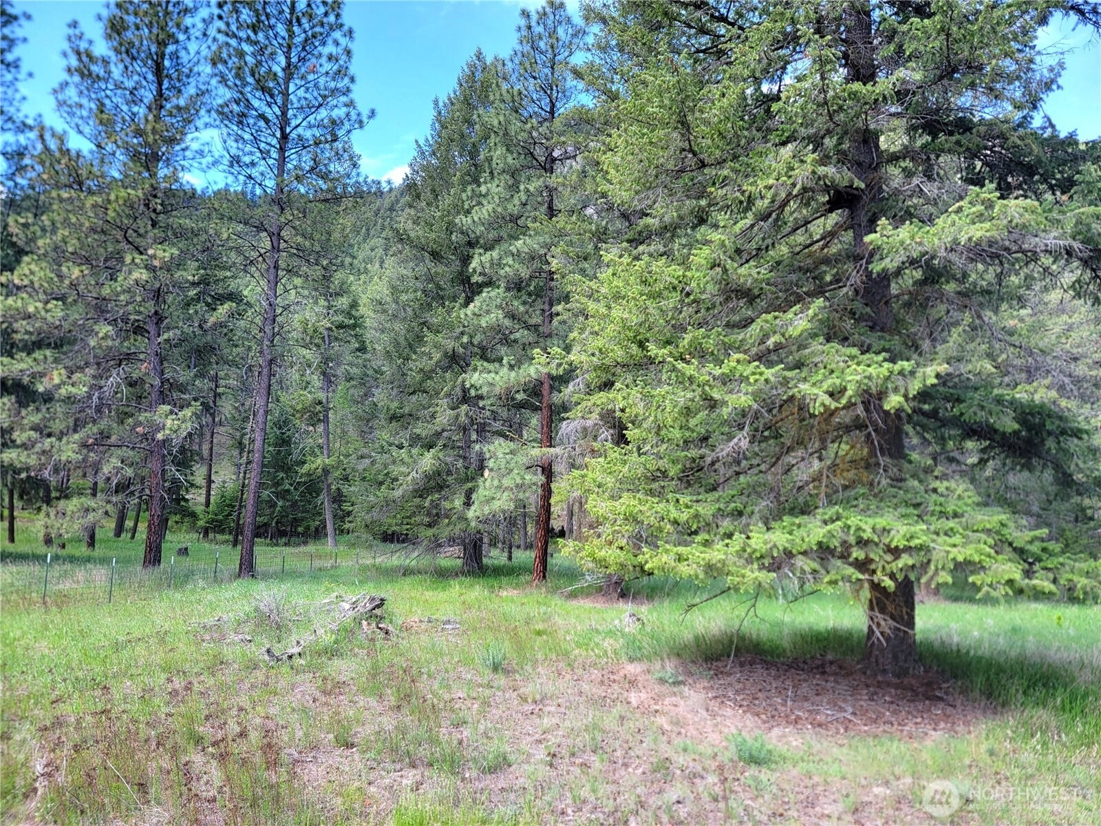 Evergreen Dr Unit  Curlew WA 99118