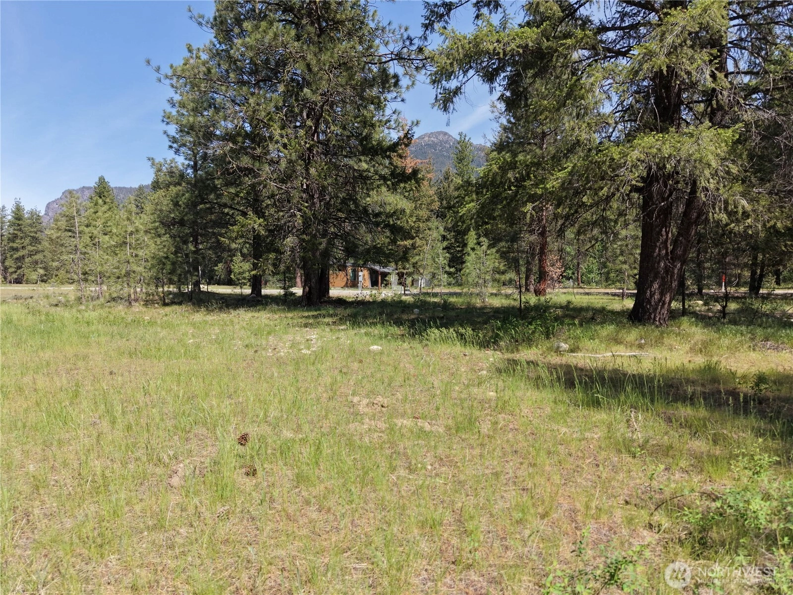 4 Mazama Meadows Lane Unit  Mazama WA 98833