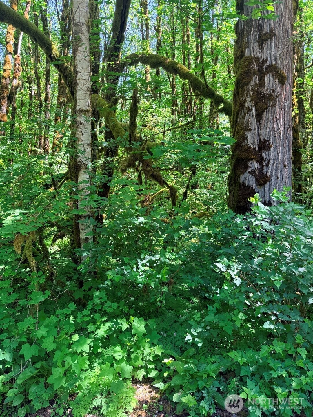 10204 Foss River Pl NE Skykomish WA 98288