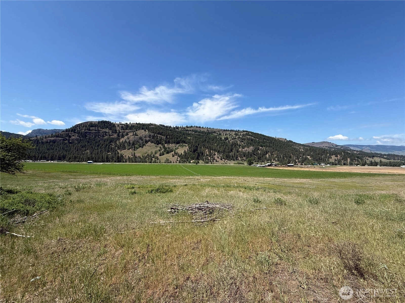 Art Creek Rd Unit  Malo WA 99150