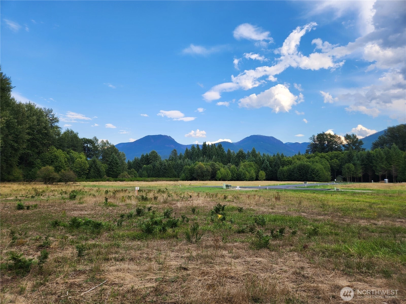 131 Campfire Ln Unit  Packwood WA 98361