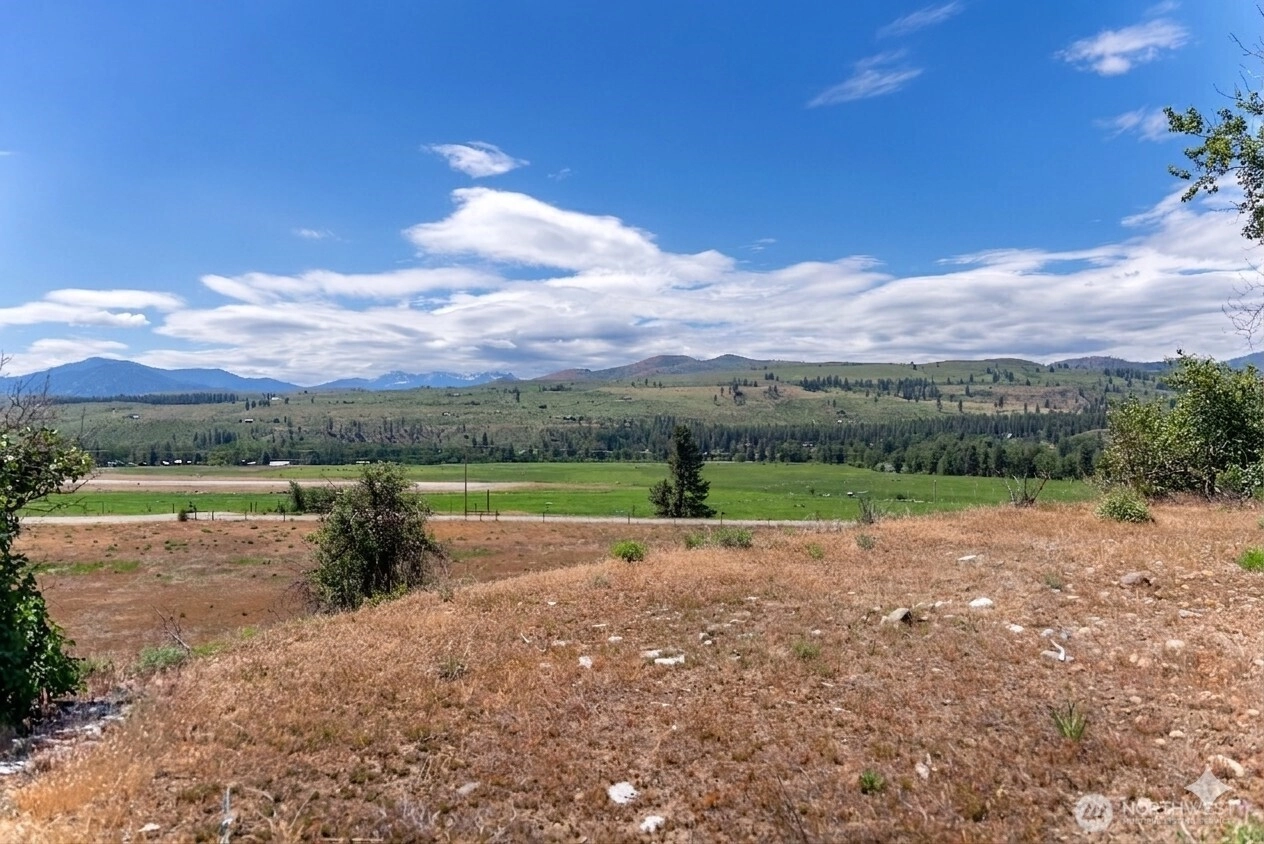 567 Twisp Winthrop Eastside Rd Unit  Winthrop WA 98862