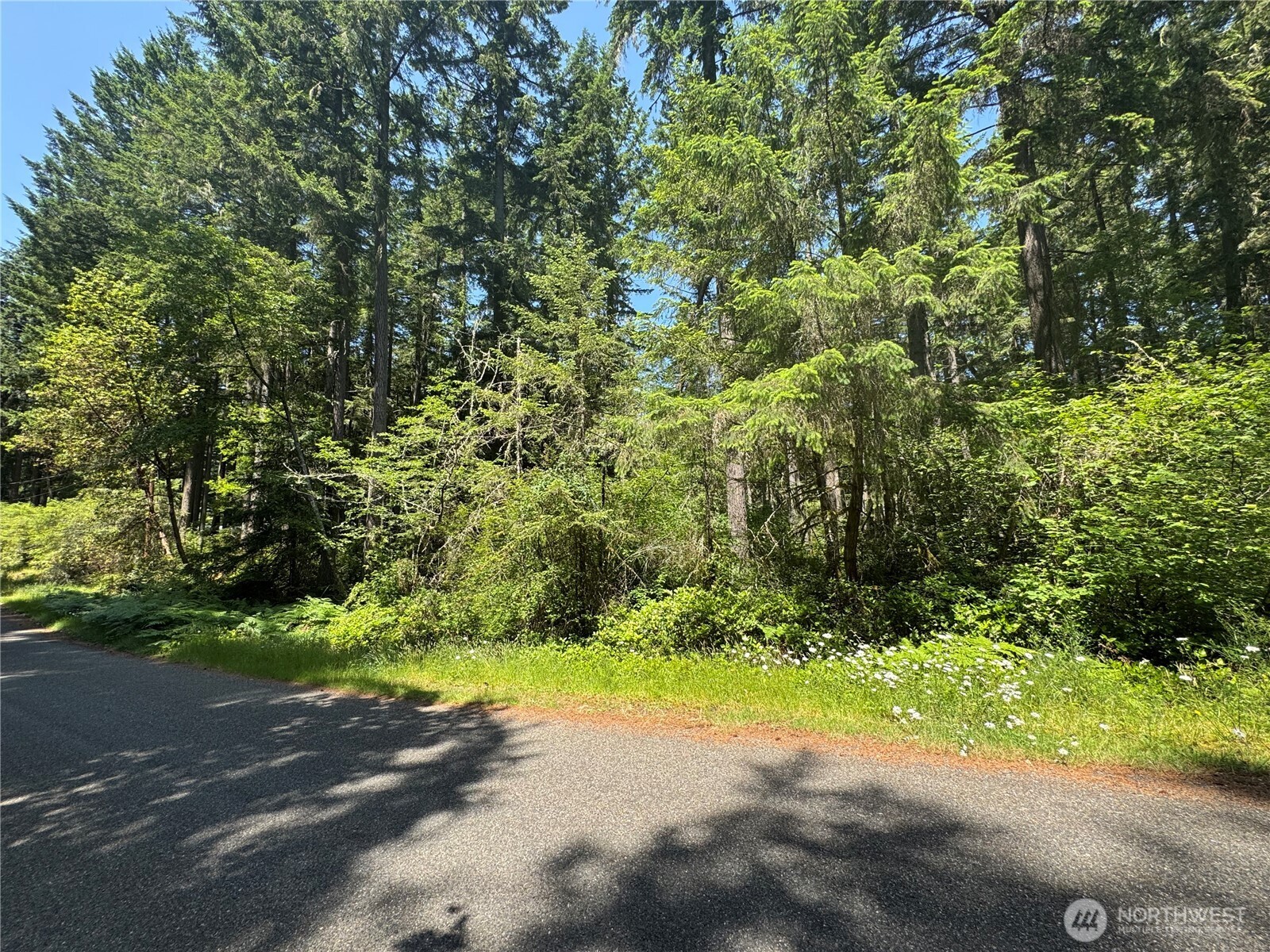 11409 & 11413 Hillcrest Dr Unit  Anderson Island WA 98303