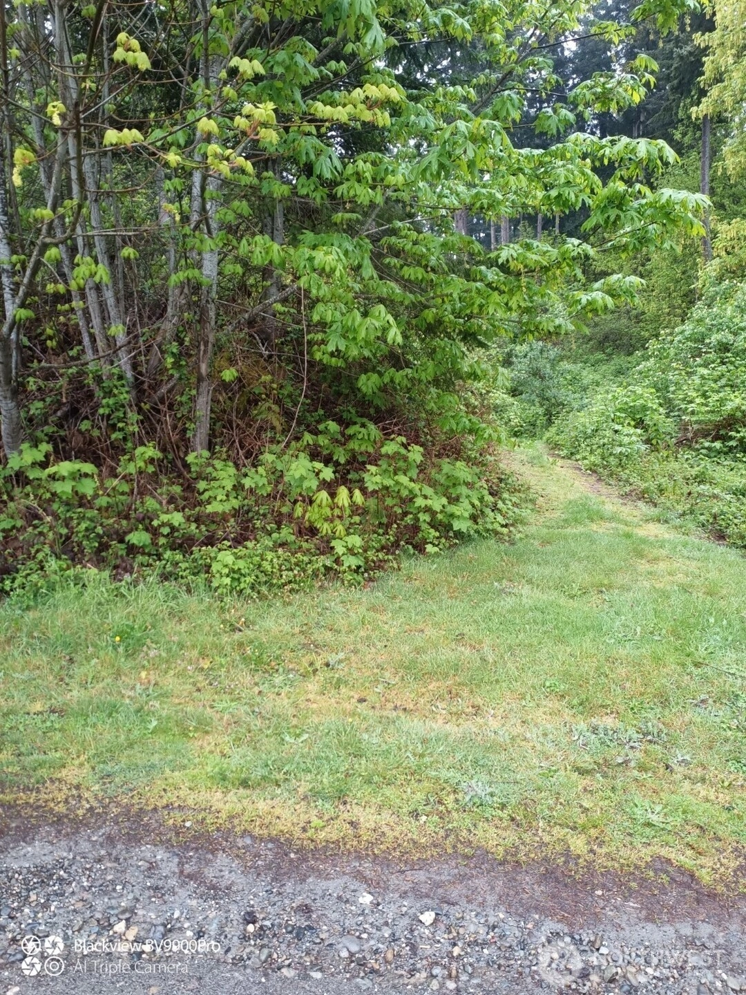 73 G Mukilteo Way Hat Island WA 98206