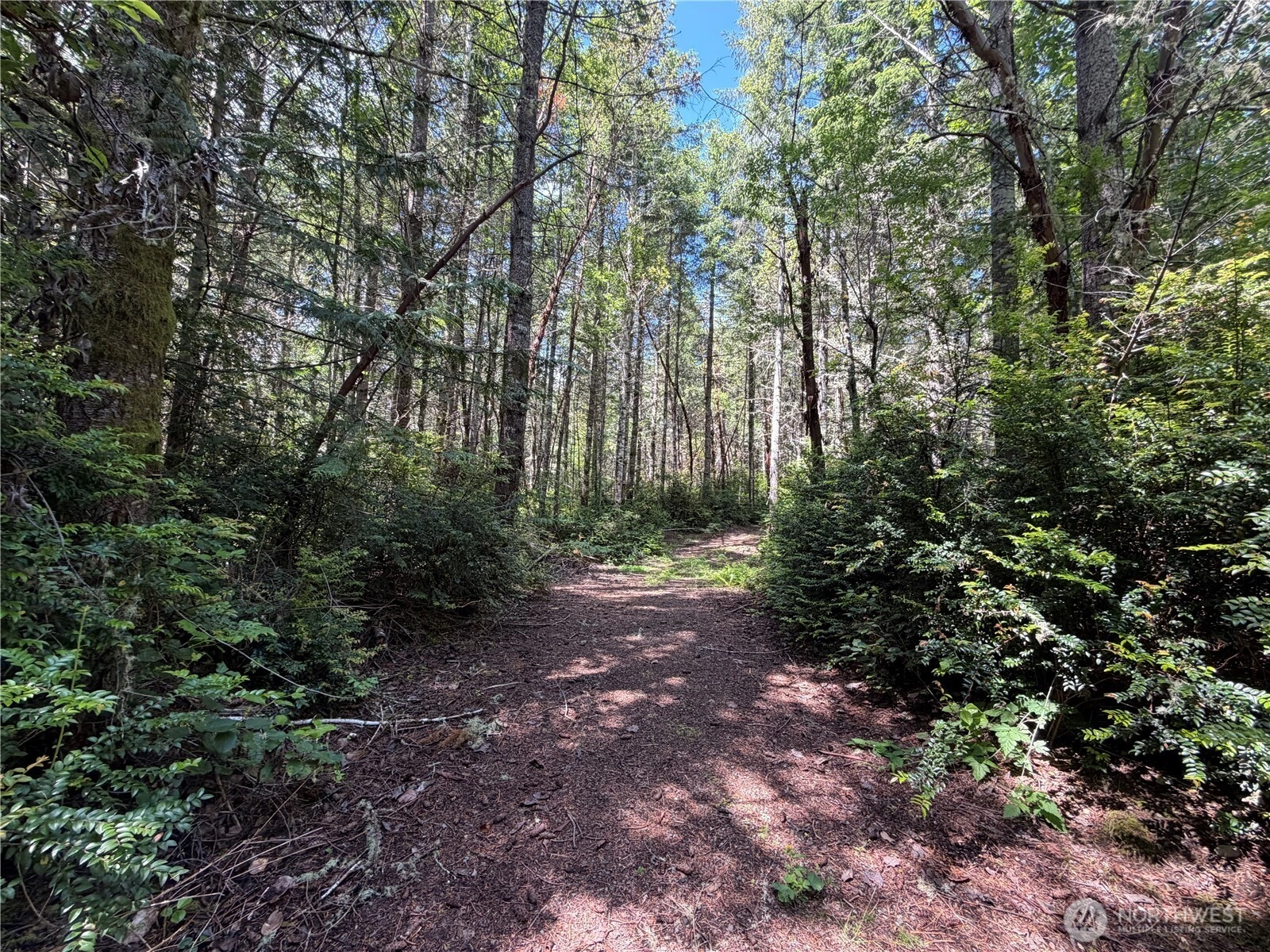 178 Geoduck Dr Quilcene WA 98376