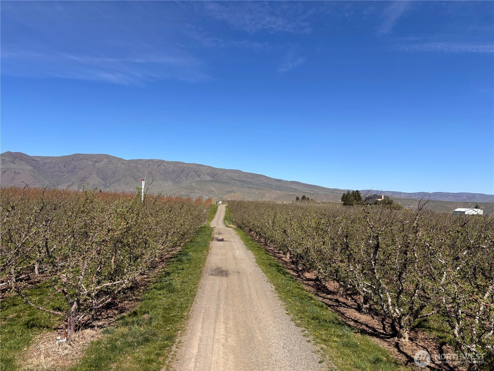 Rosenkranze Rd Tieton WA 98947