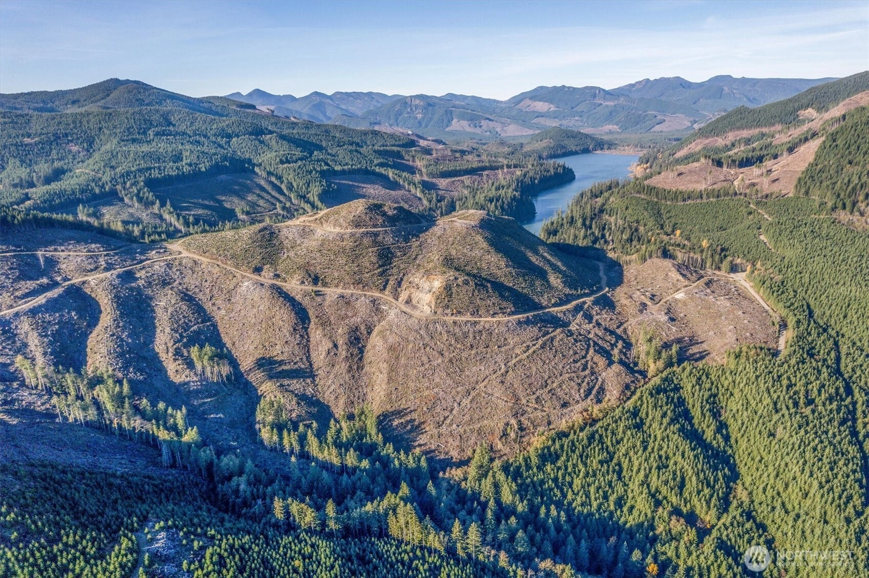 Usfs 81 Rd Cougar WA 98616