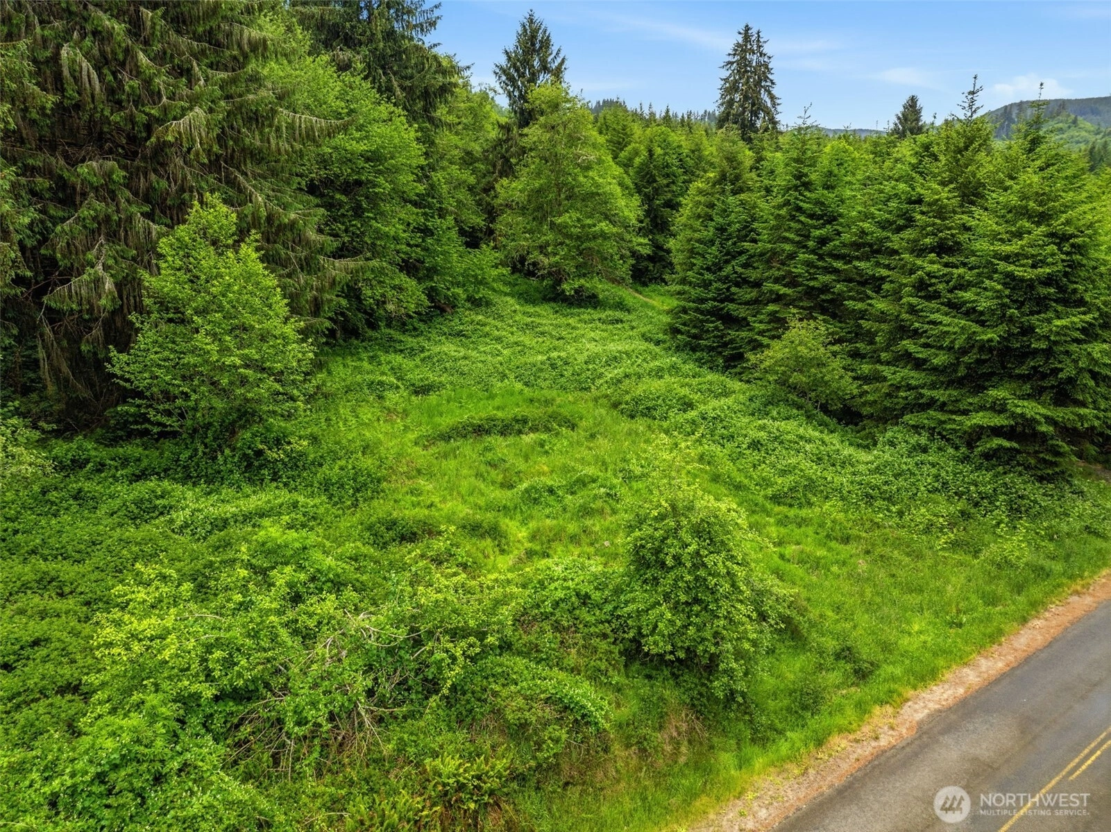E Valley Rd Skamokawa WA 98647