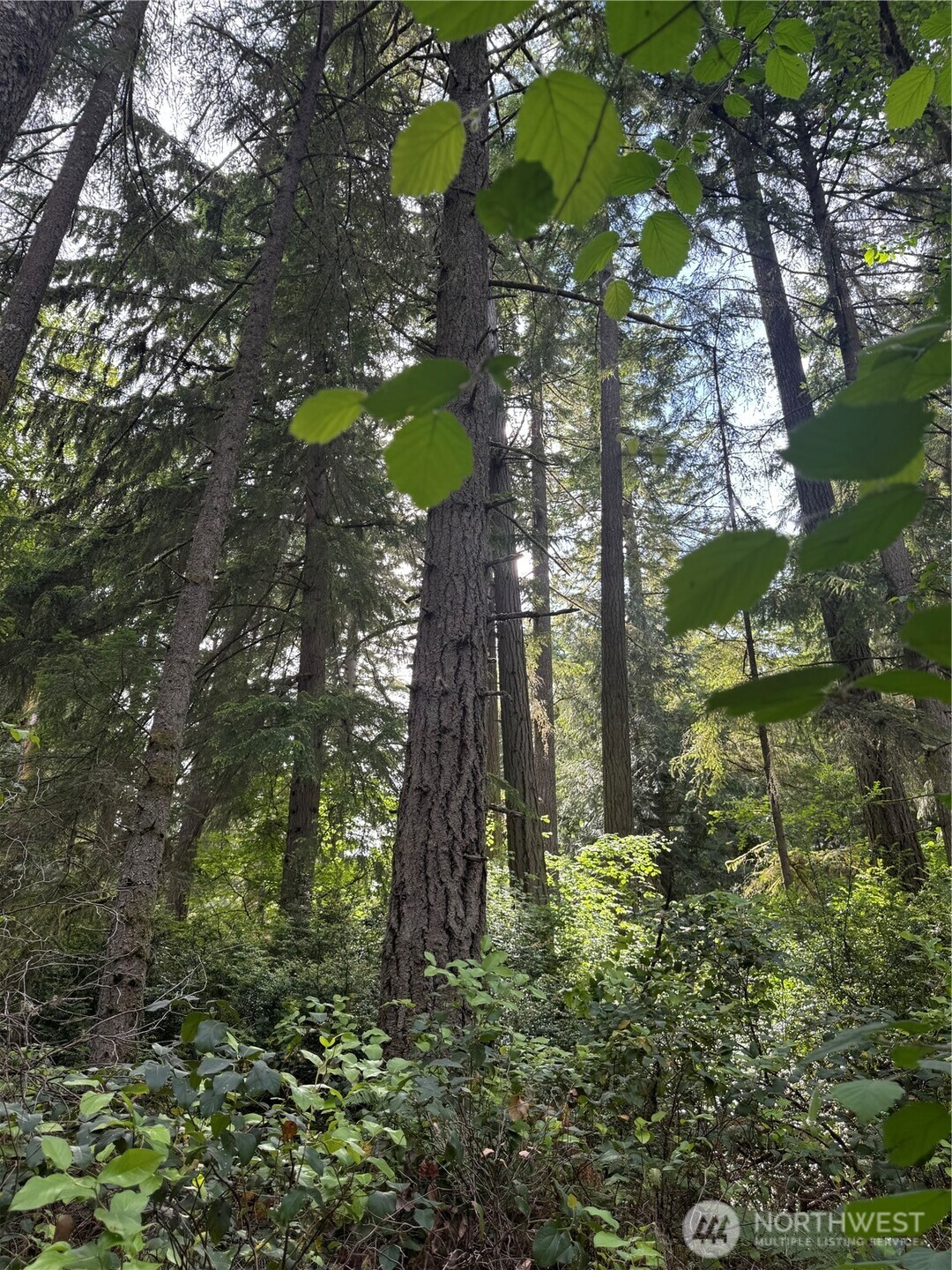 11717 Mill Pl Unit  Anderson Island WA 98303