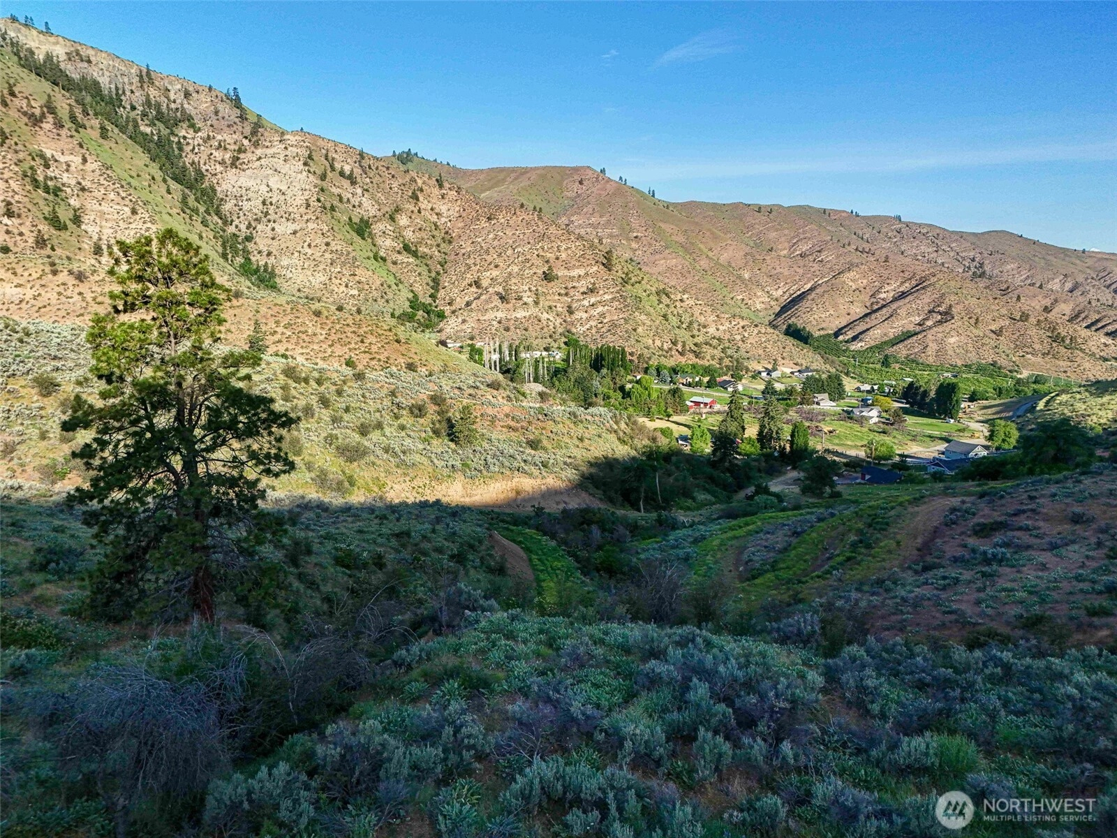 Juniper Ln Monitor WA 98836