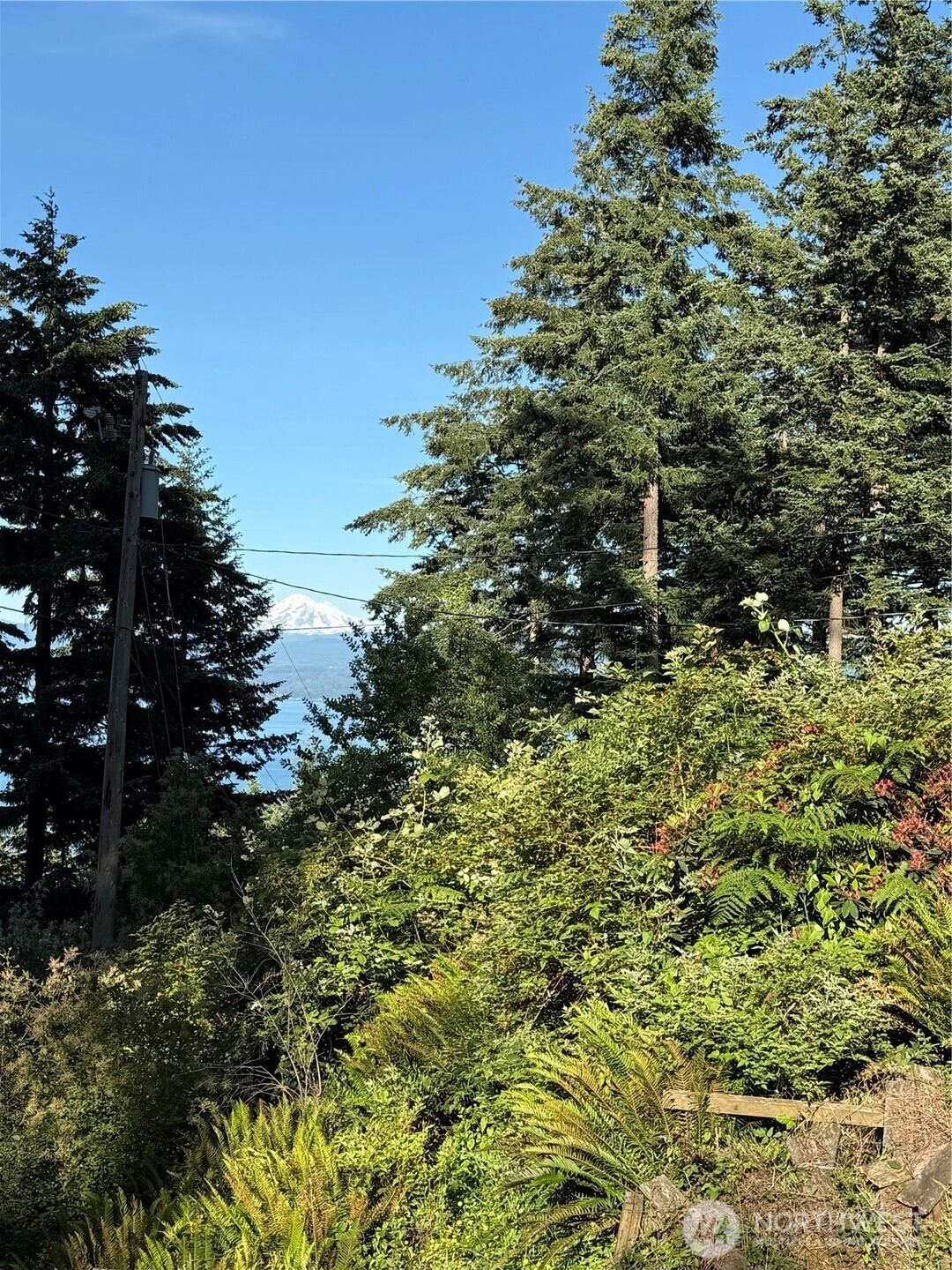 2959 Dogwood Ter Unit  Lummi Island WA 98262