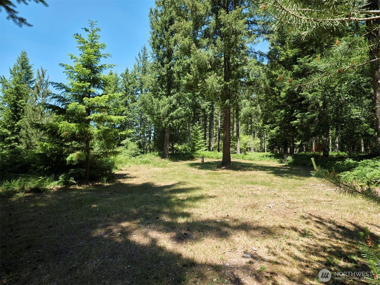 Loowit Ln Unit  Cougar WA 98616