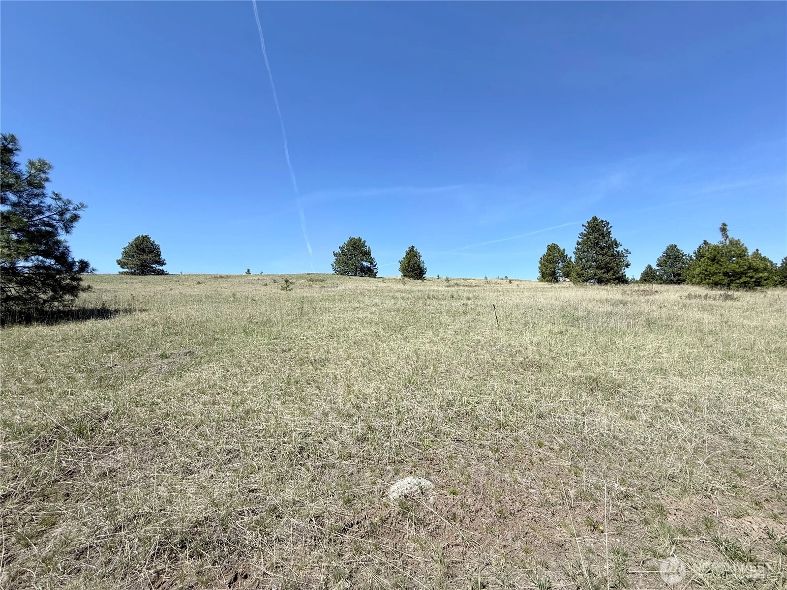 35 Sqove Rd Wauconda WA 98859