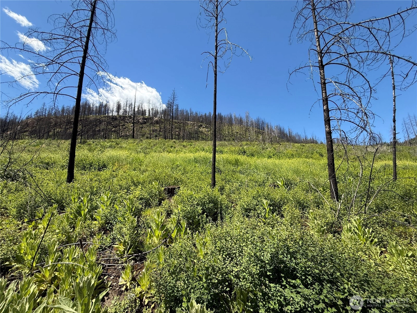 0 Lot 32 4th Of July Creek Rd Unit  Danville WA 99121