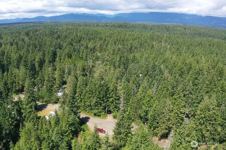 101 NE Creekside Pl Tahuya WA 98588