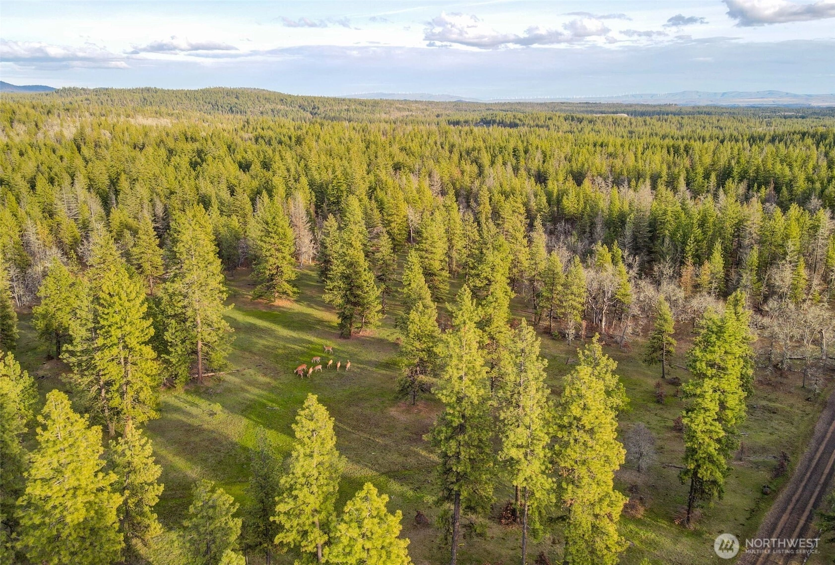 0 Lot 15 Greyback Mt Rd Unit  Goldendale WA 98620