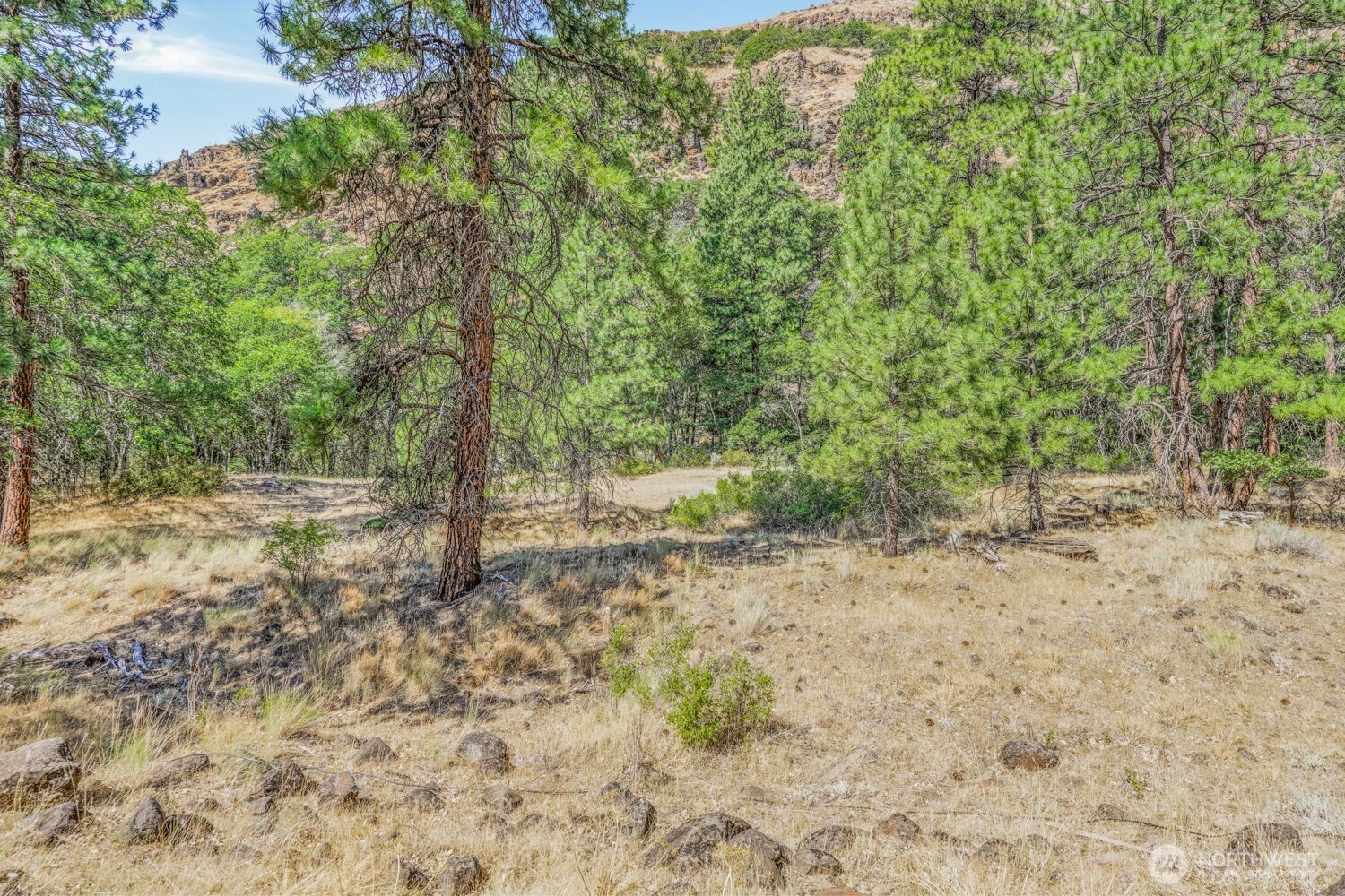 04181100000700 Goldendale WA 98620