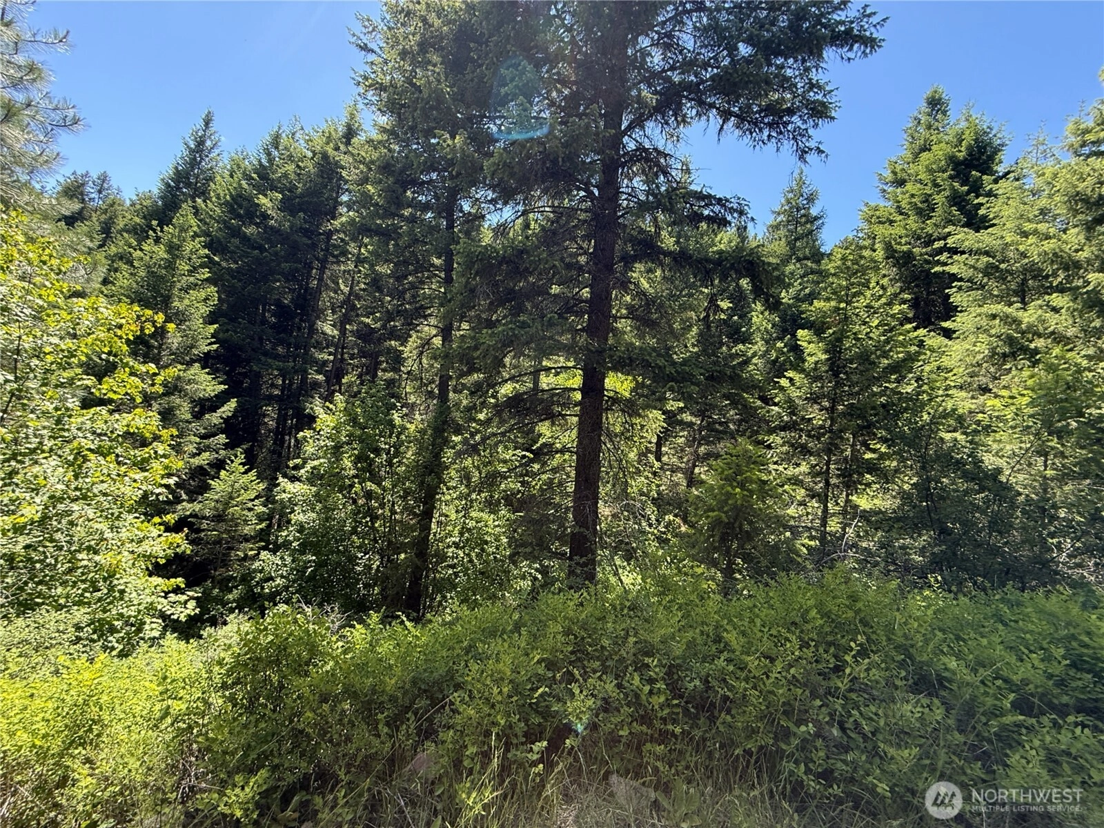 0 TBD Toroda Creek Rd Wauconda WA 98859