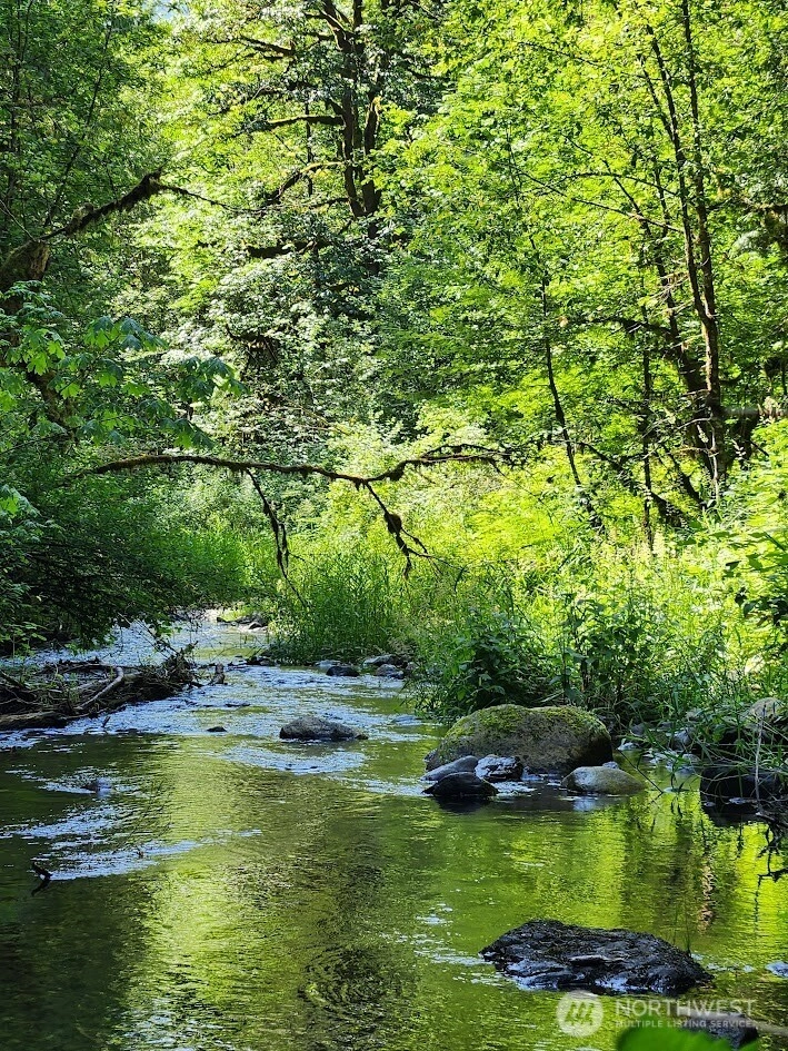 7882 Silver Lake Rd Maple Falls WA 98266