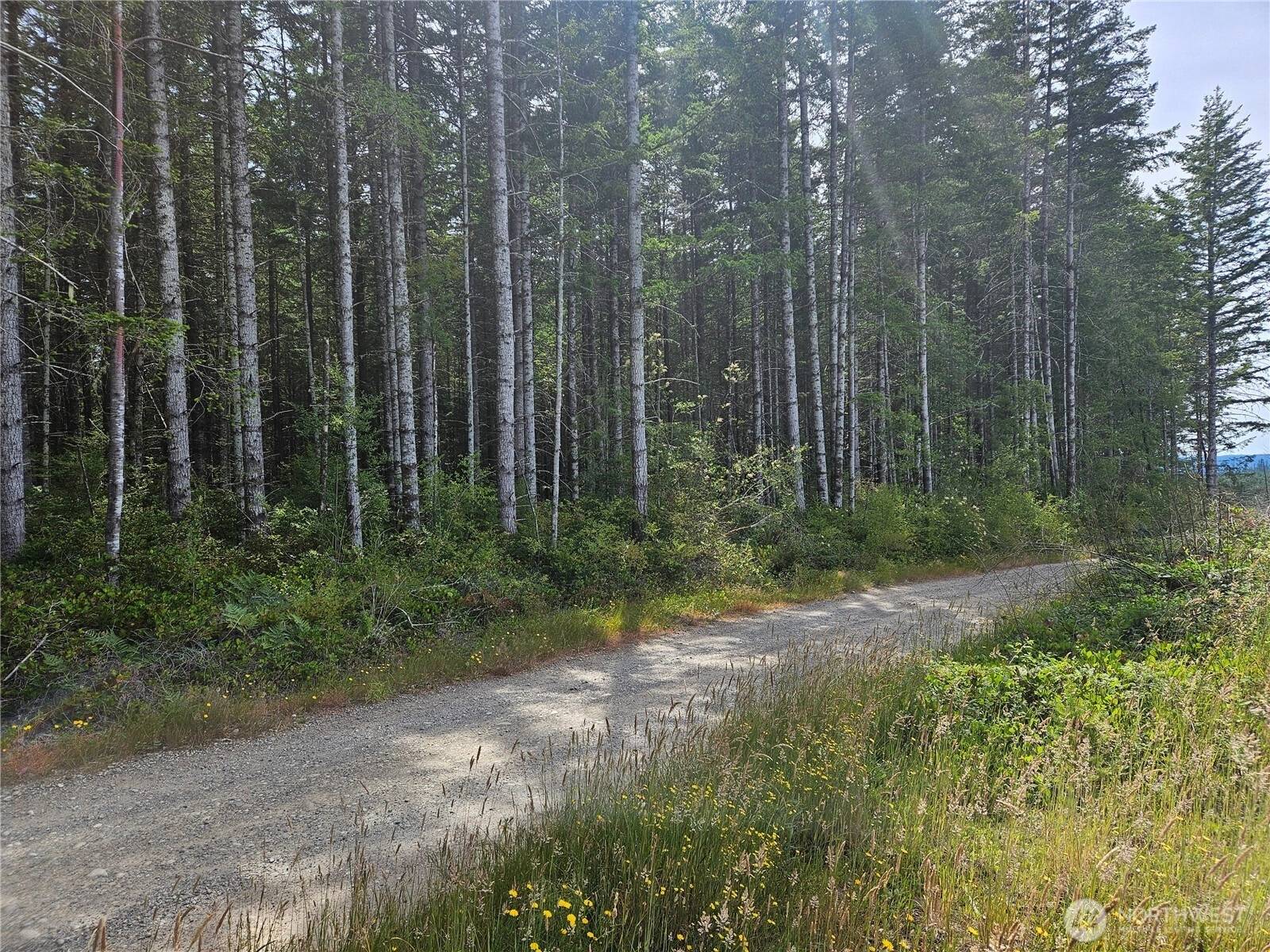 0 NKA L Lee Valley Rd Quilcene WA 98376