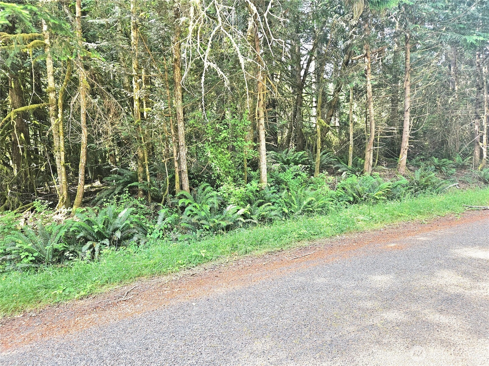 124 E Go Onna Dr Unit  Quilcene WA 98376