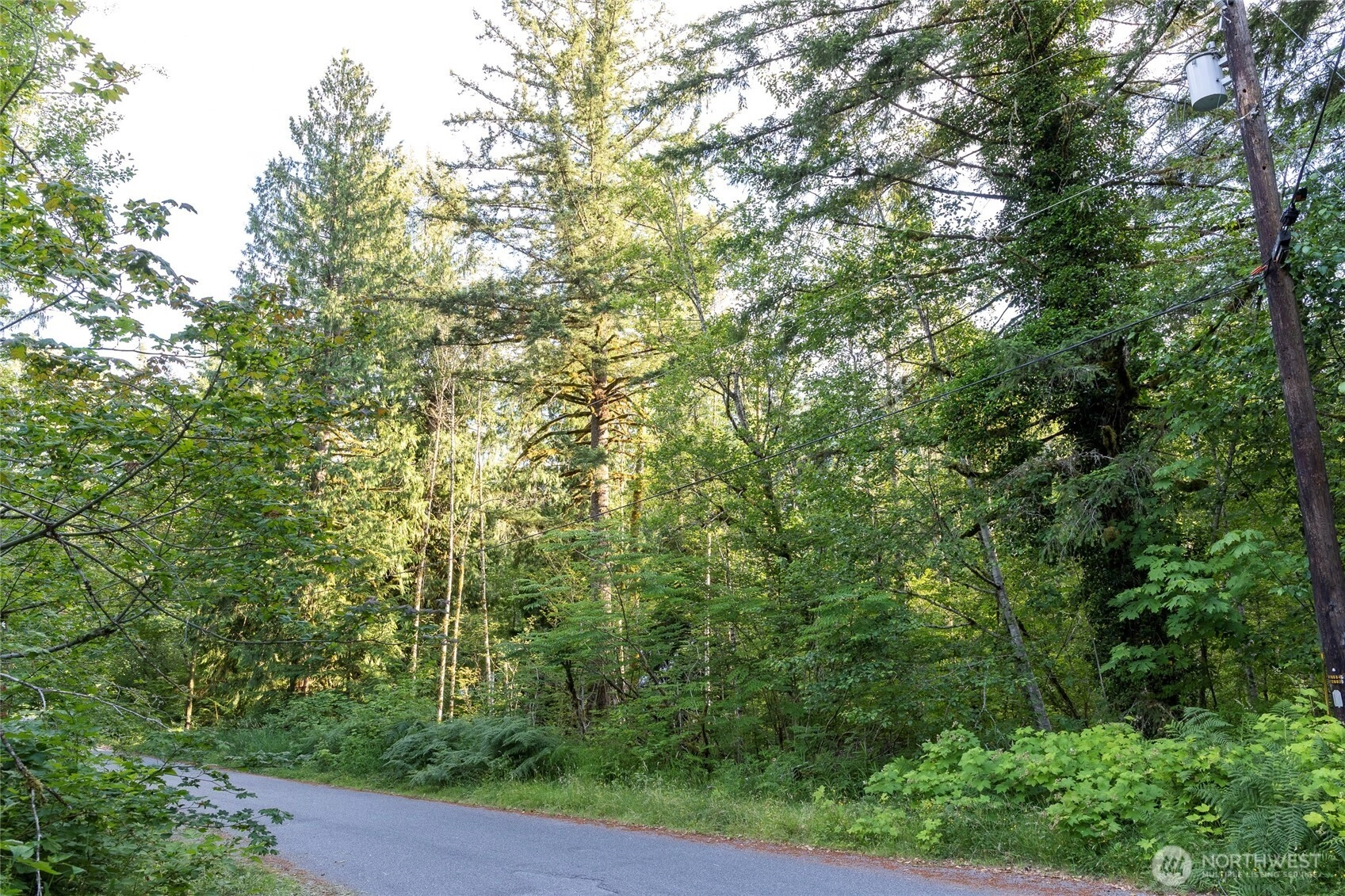 7573 Glacier Springs Dr Unit  Deming WA 98244
