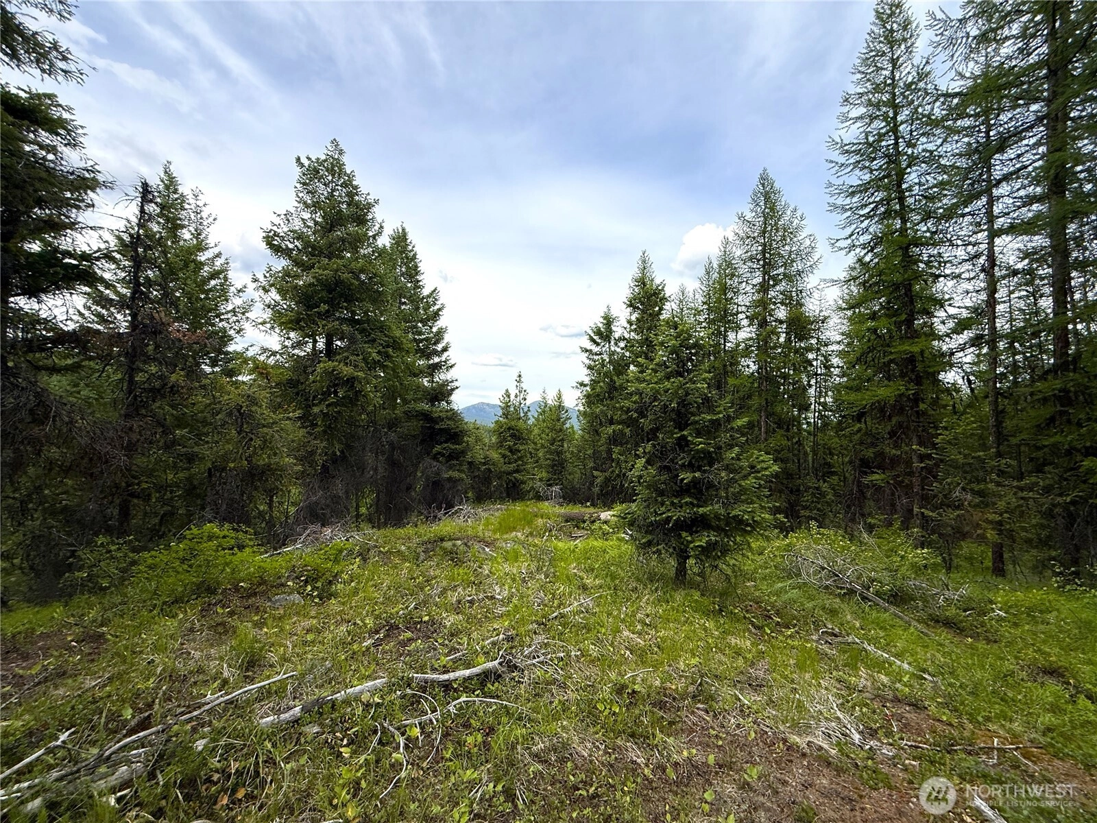 0 TBD Mule Deer Rd Republic WA 99166