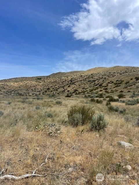 410 LOT 2 Bill Shaw Rd Unit  Pateros WA 98846