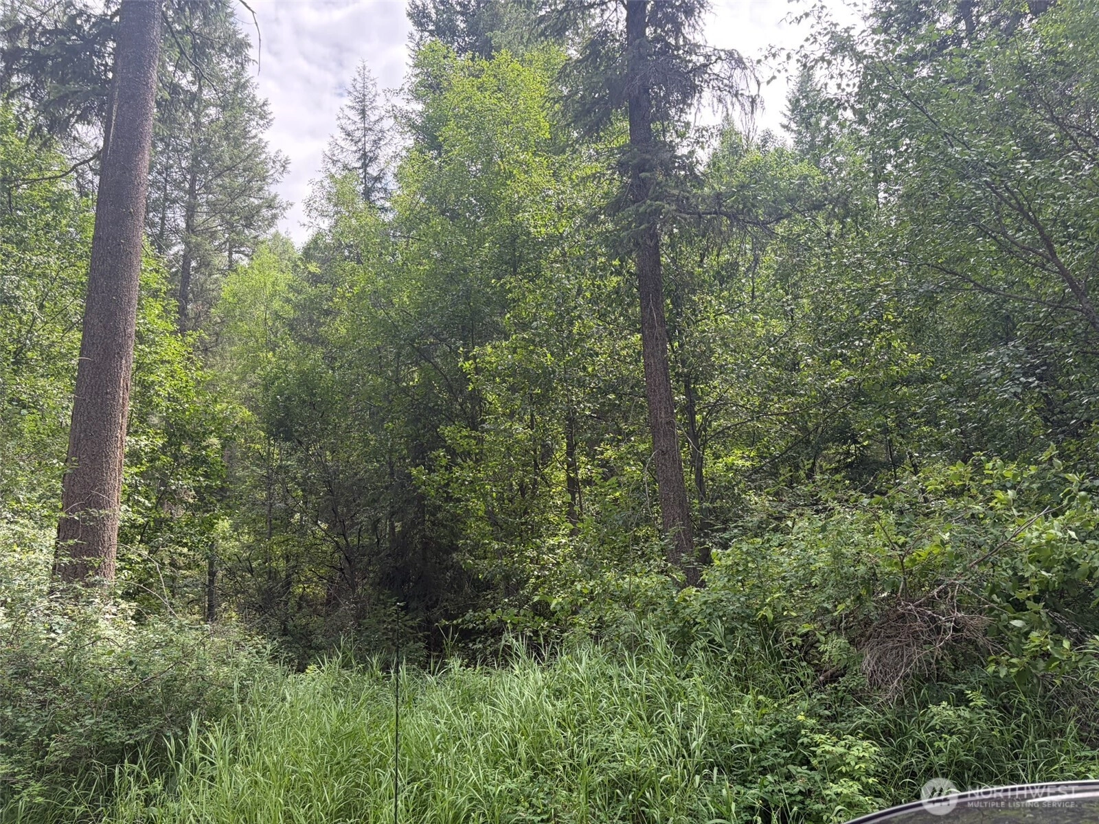 111 TBD Lambert Creek Rd Republic WA 99166