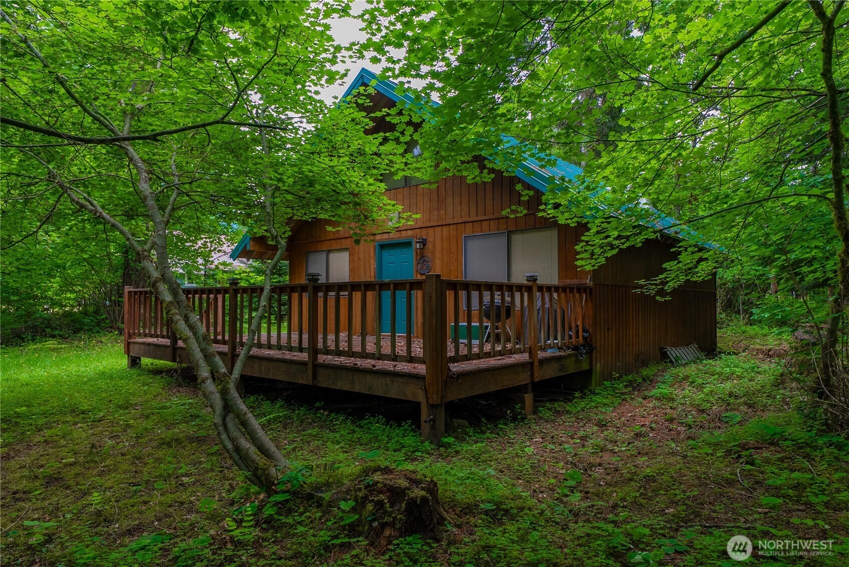 146 Mount Rainier Dr Packwood WA 98361