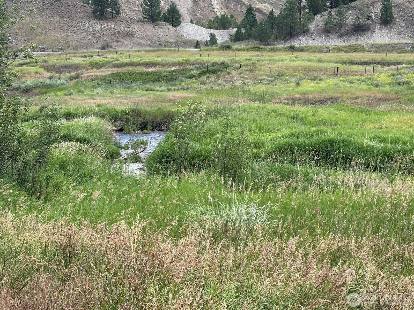 1 TBD Lundimo Meadows Tract 1 Curlew WA 99118