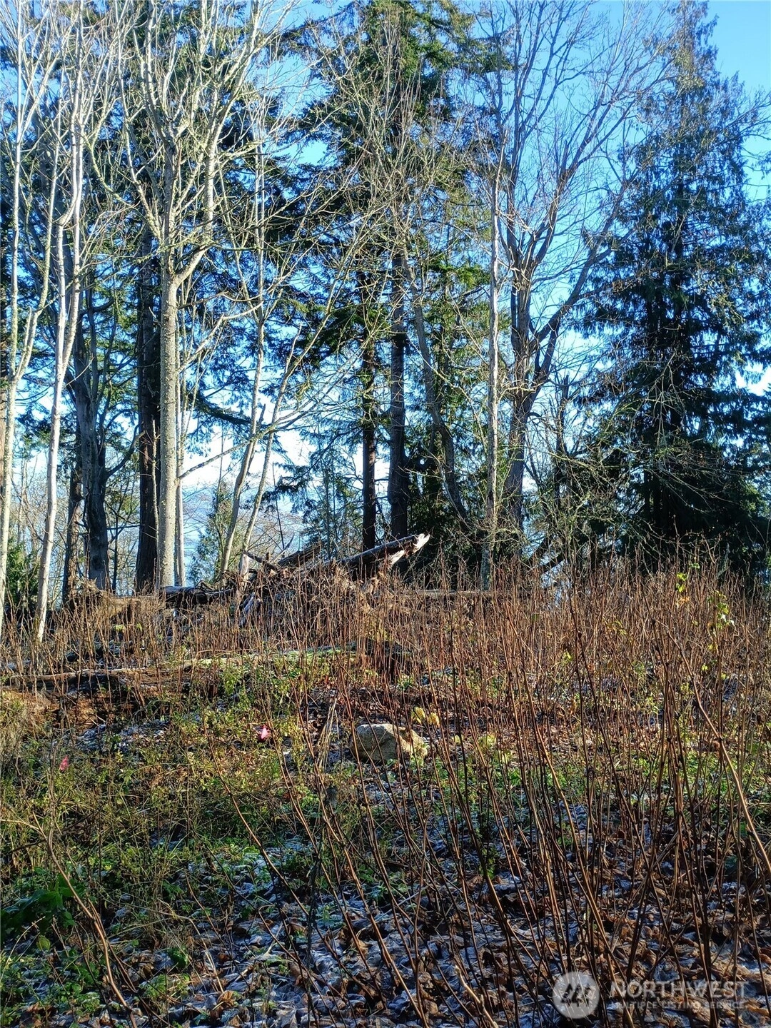 49 K Tulalip Way Hat Island WA 98206