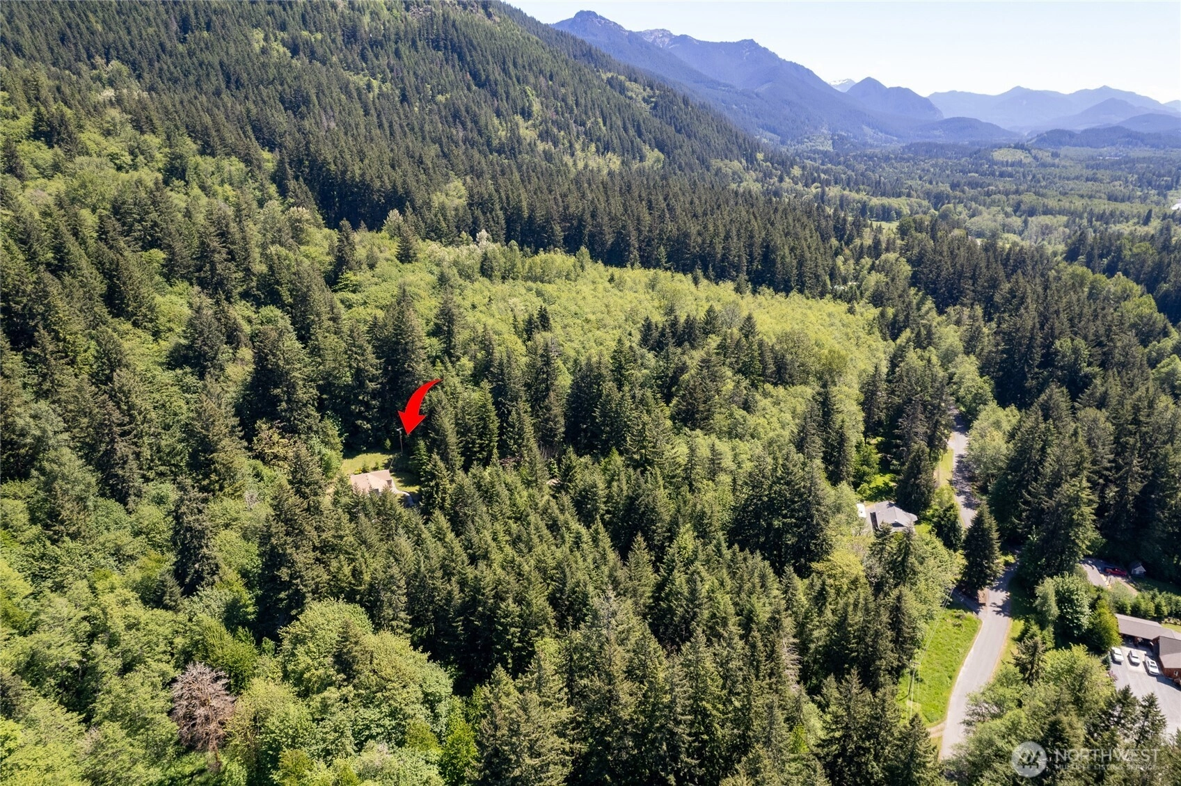 0 XXXX Mt Tahoma Canyon Rd E Ashford WA 98304