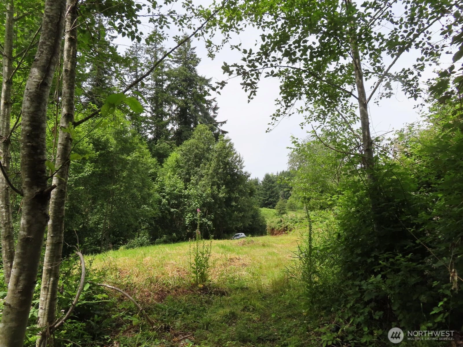 0 XXX Coleman Rd Mossyrock WA 98564