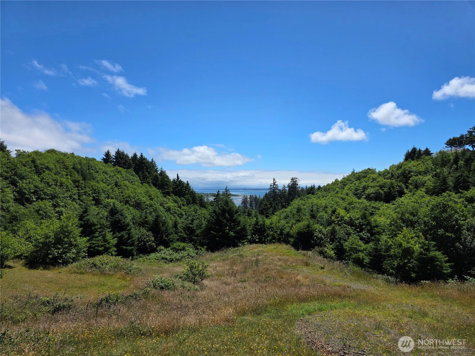 31 XX Discovery Ct Unit  Ilwaco WA 98624