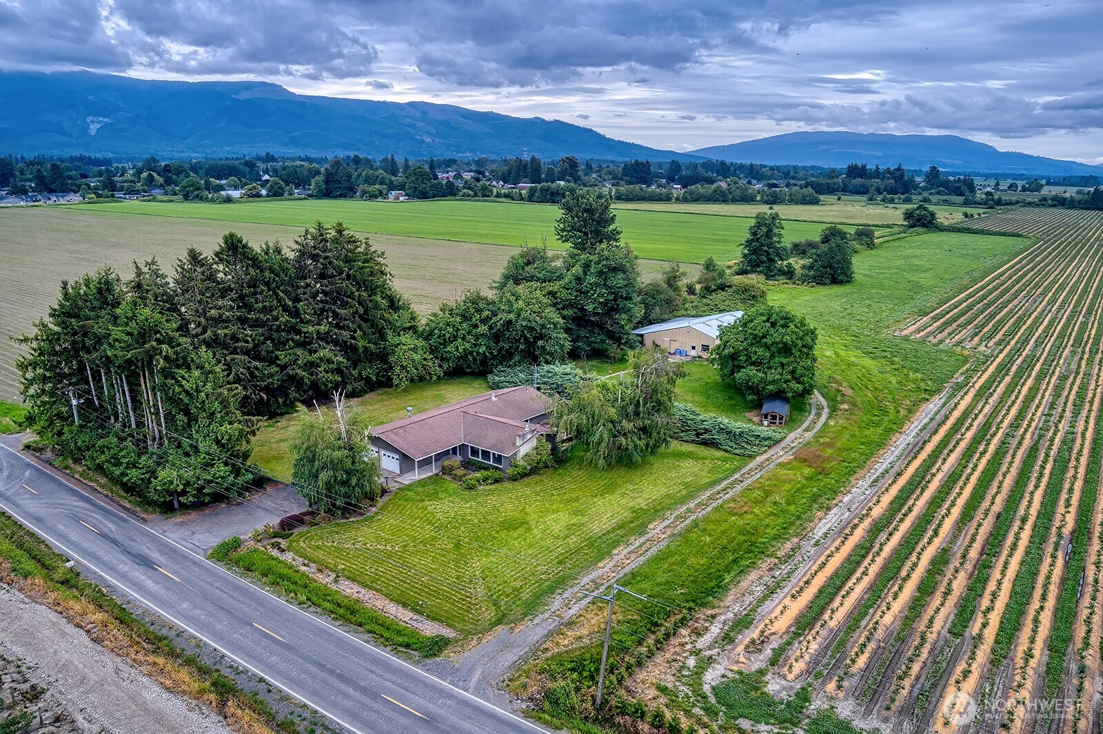 2875 Tom Rd Everson WA 98247