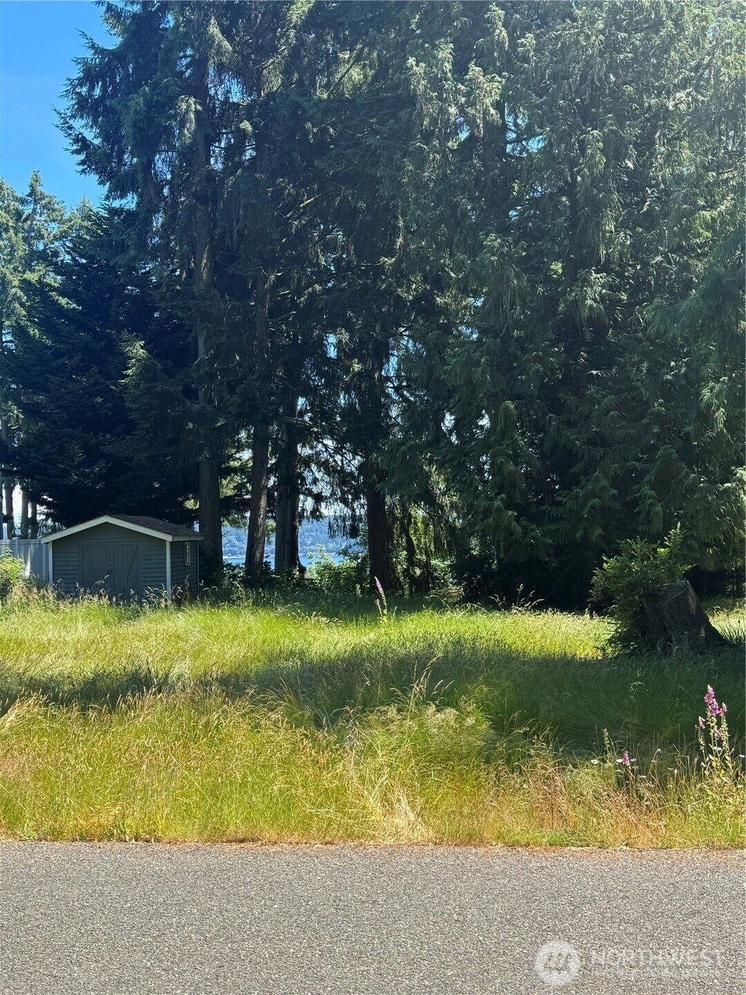 10409 108th St Unit  Anderson Island WA 98303
