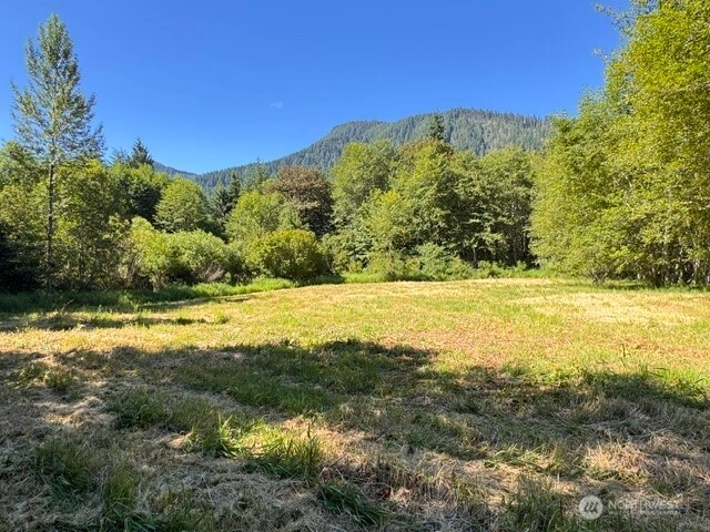 0 XXX Pleasant Valley Rd Morton WA 98356