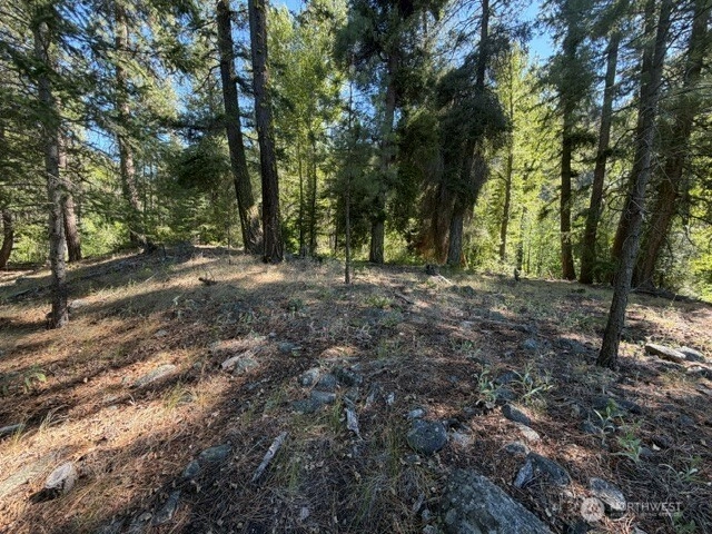 E Buttermilk Creek Rd Twisp WA 98856