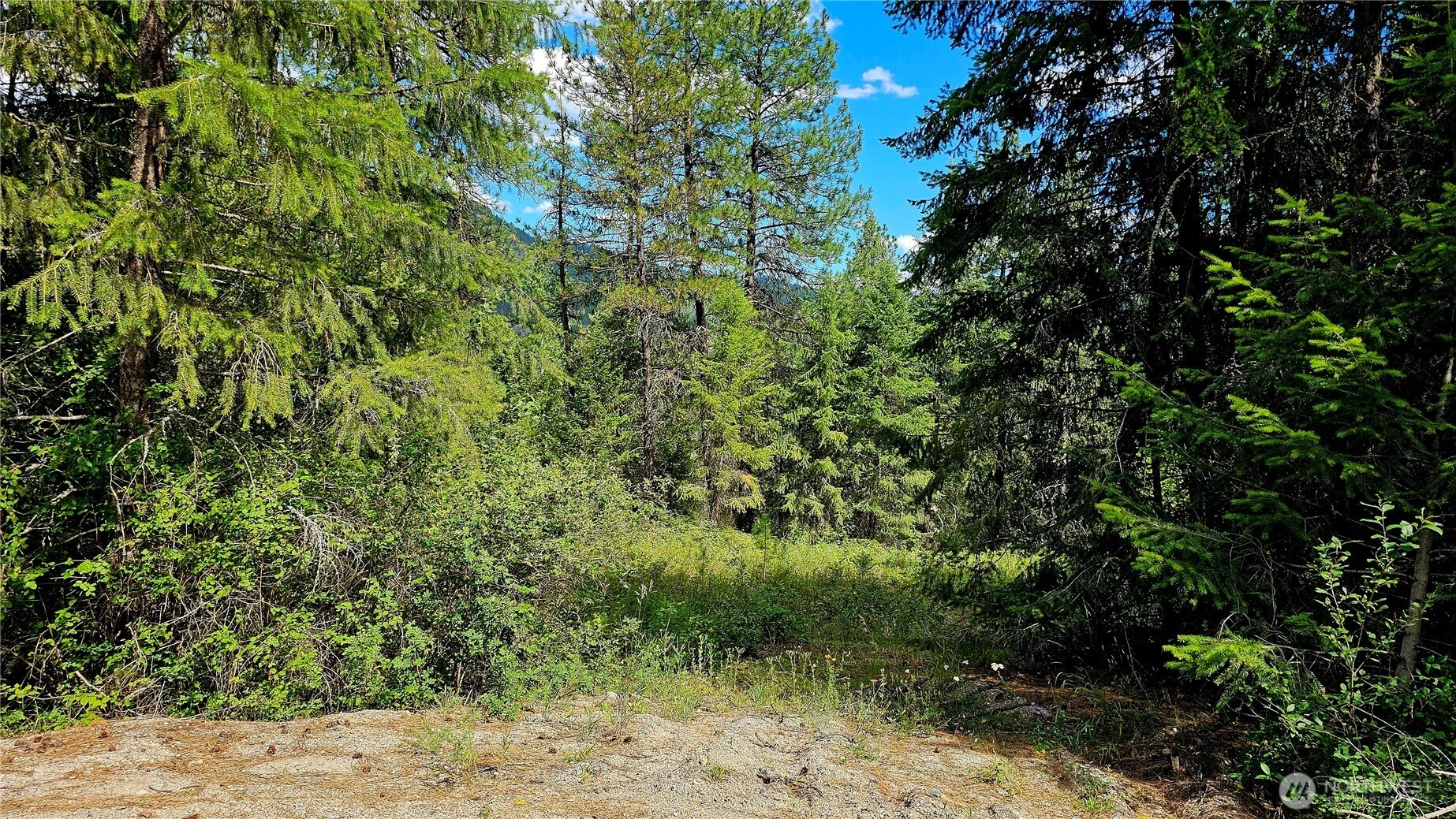 10 Humes Rd Kettle Falls WA 99141