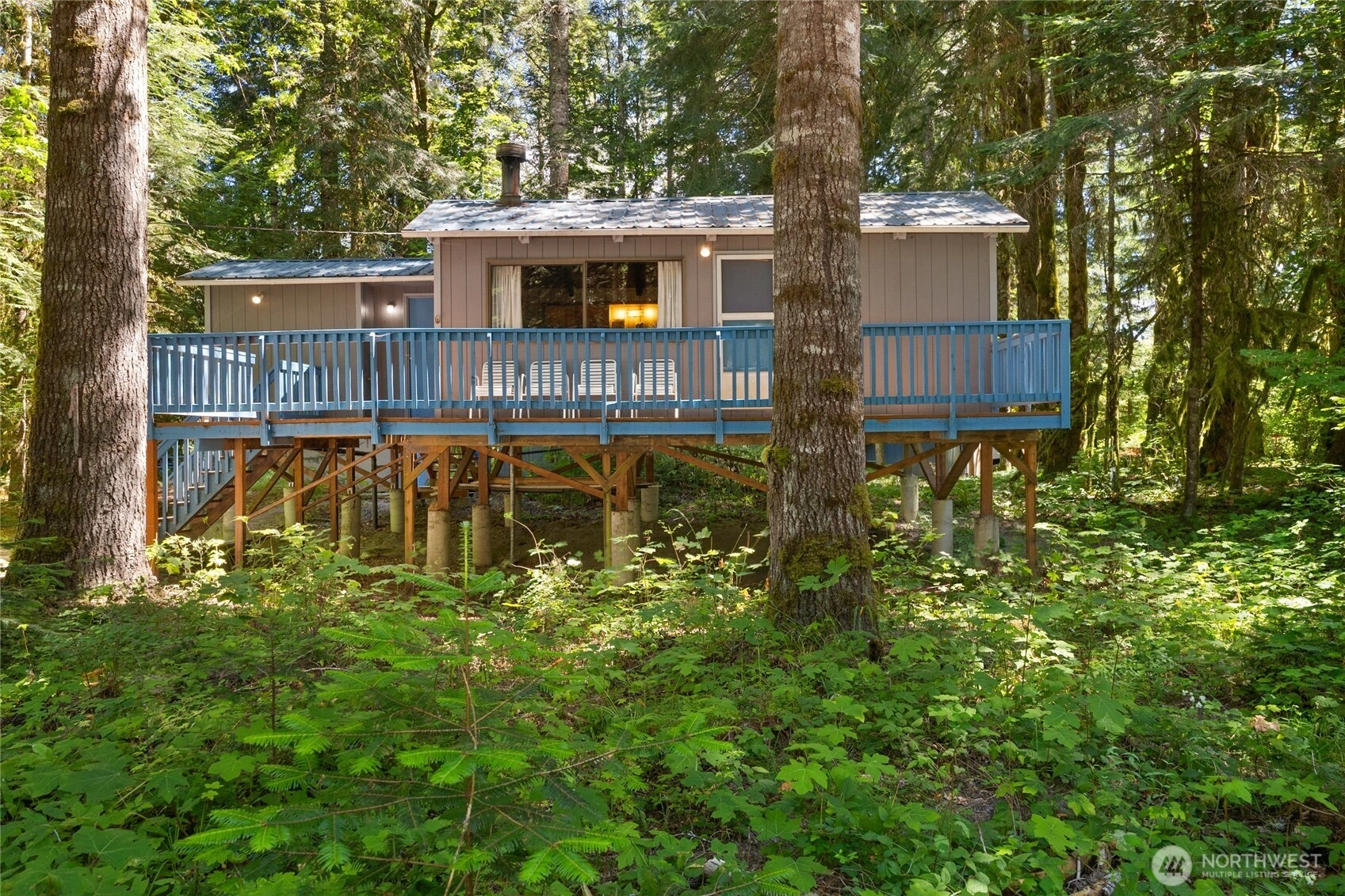 Elkhorn Dr Packwood WA 98361