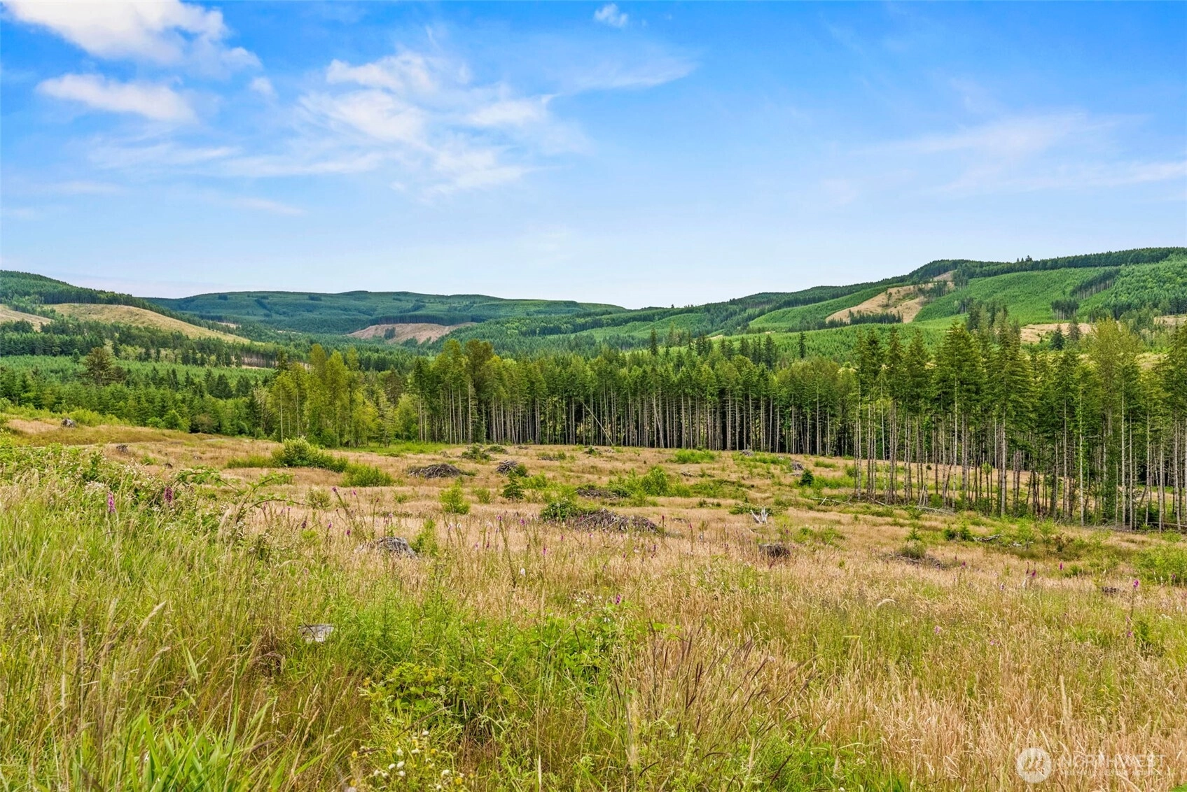 3 Lot 3 Parker Rd Unit  Toutle WA 98649