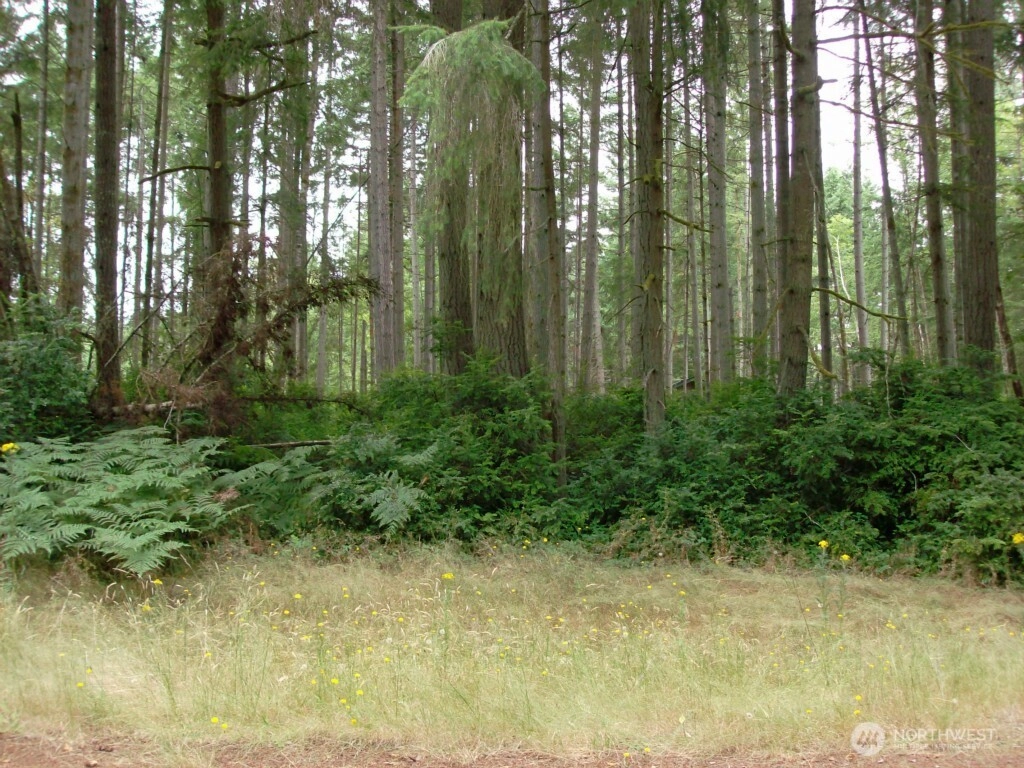 10810 Madrona Dr Anderson Island WA 98303